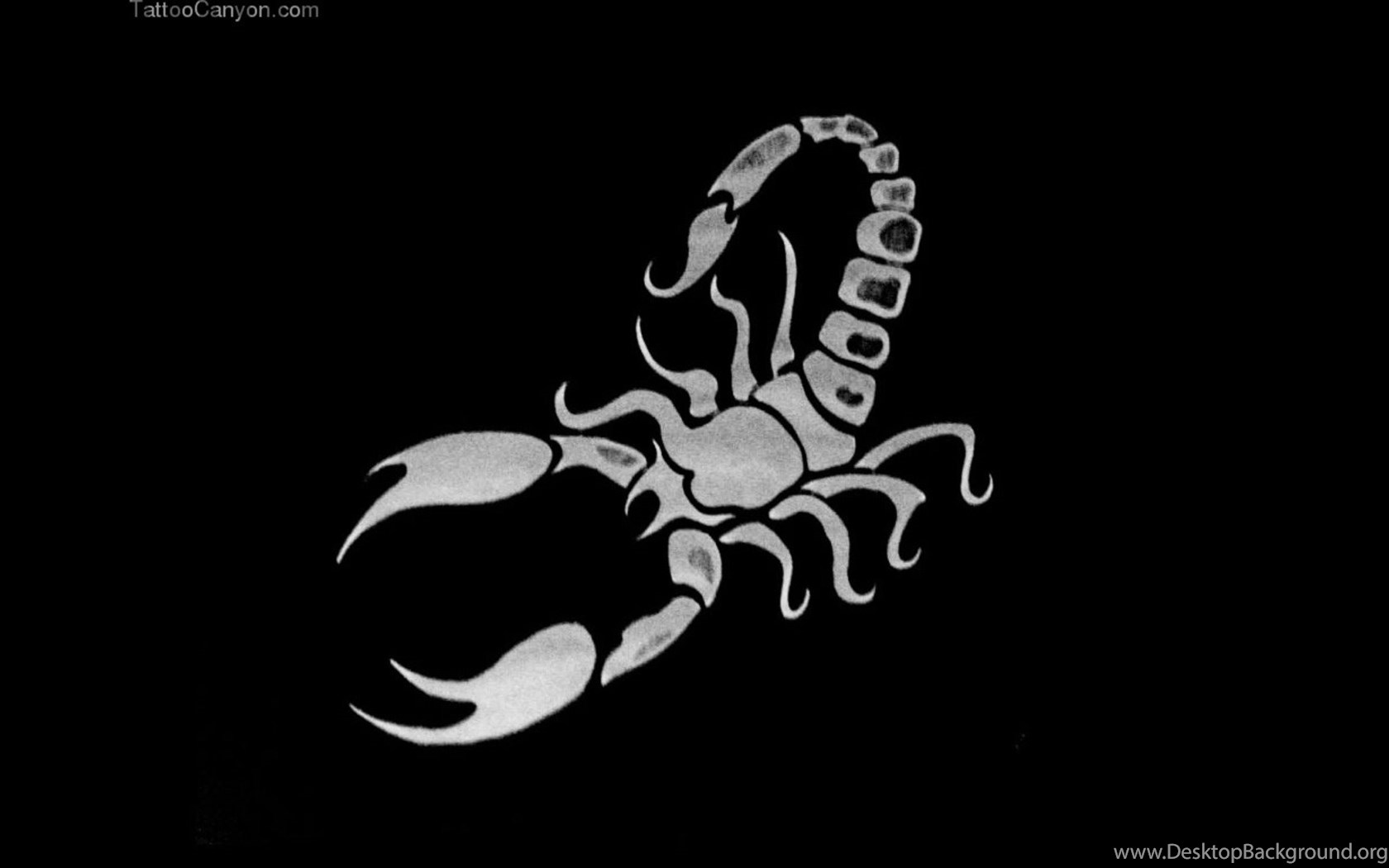 Nik Scorpion