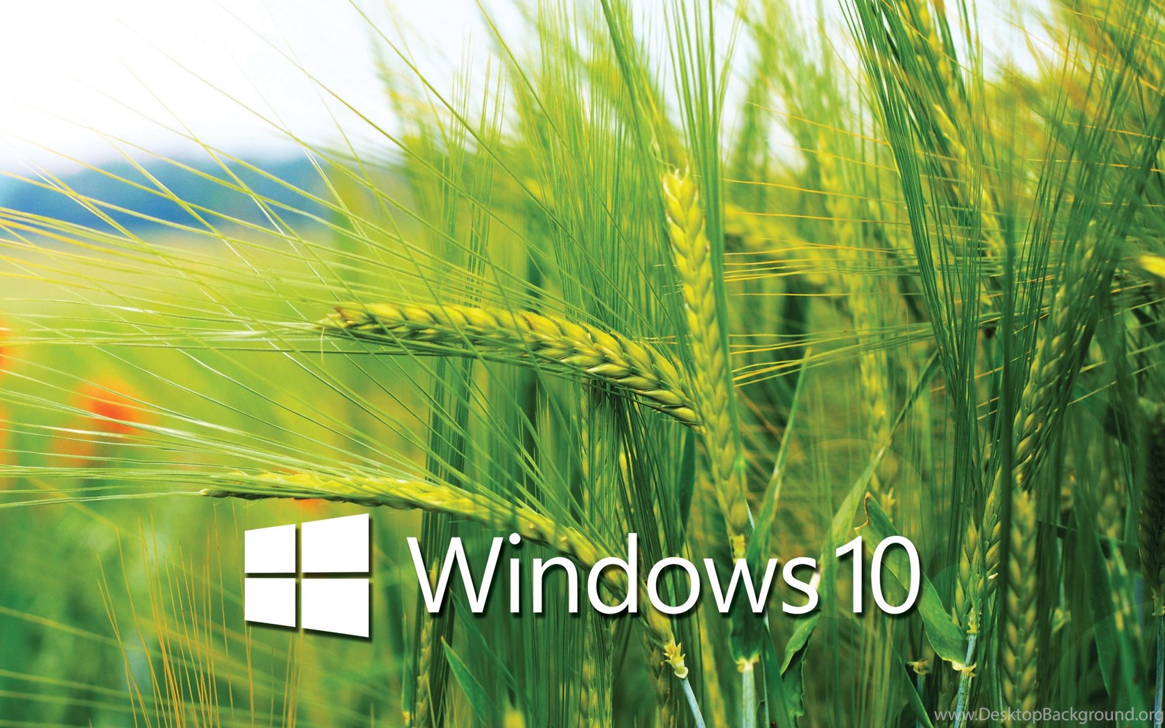 Windows 10 Desktop Wallpapers Windows 10 Wallpapers Desktop Background