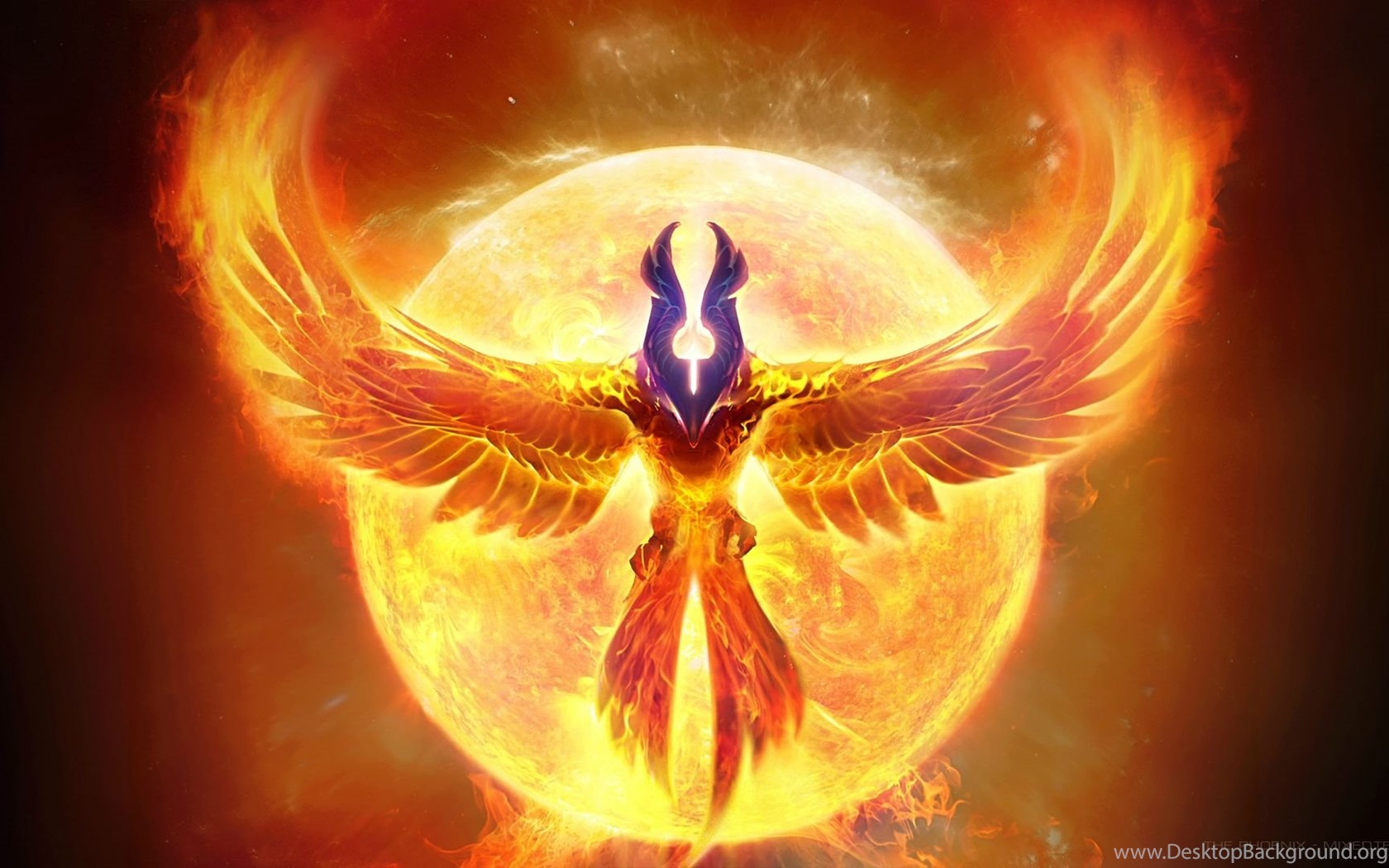 The Phoenix HD Wallpapers Imgur Desktop Background The Phoenix HD Wallpapers Imgur Desktop Background