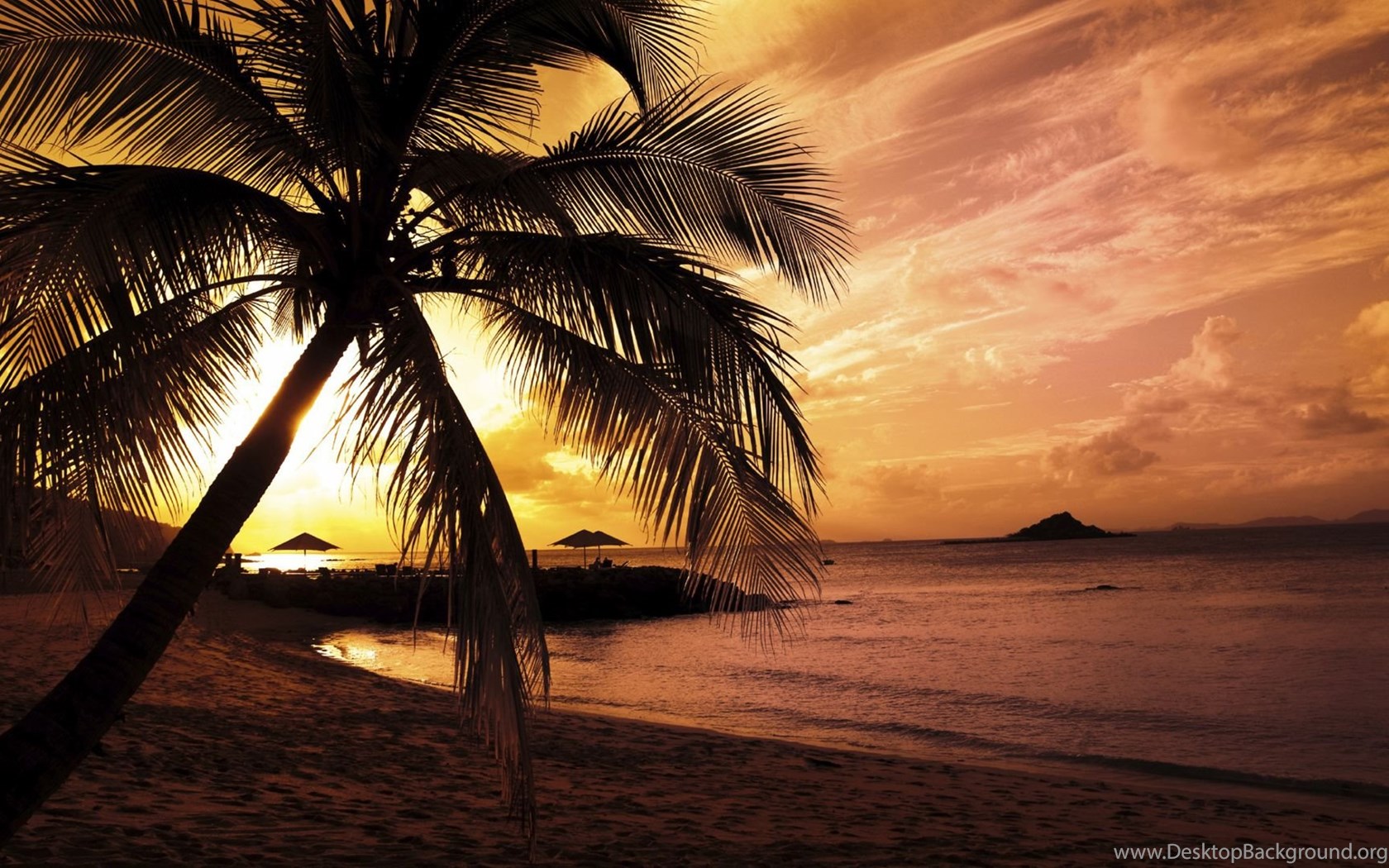 Beach Night Wallpapers Full Hd Ndemokcom Desktop Background