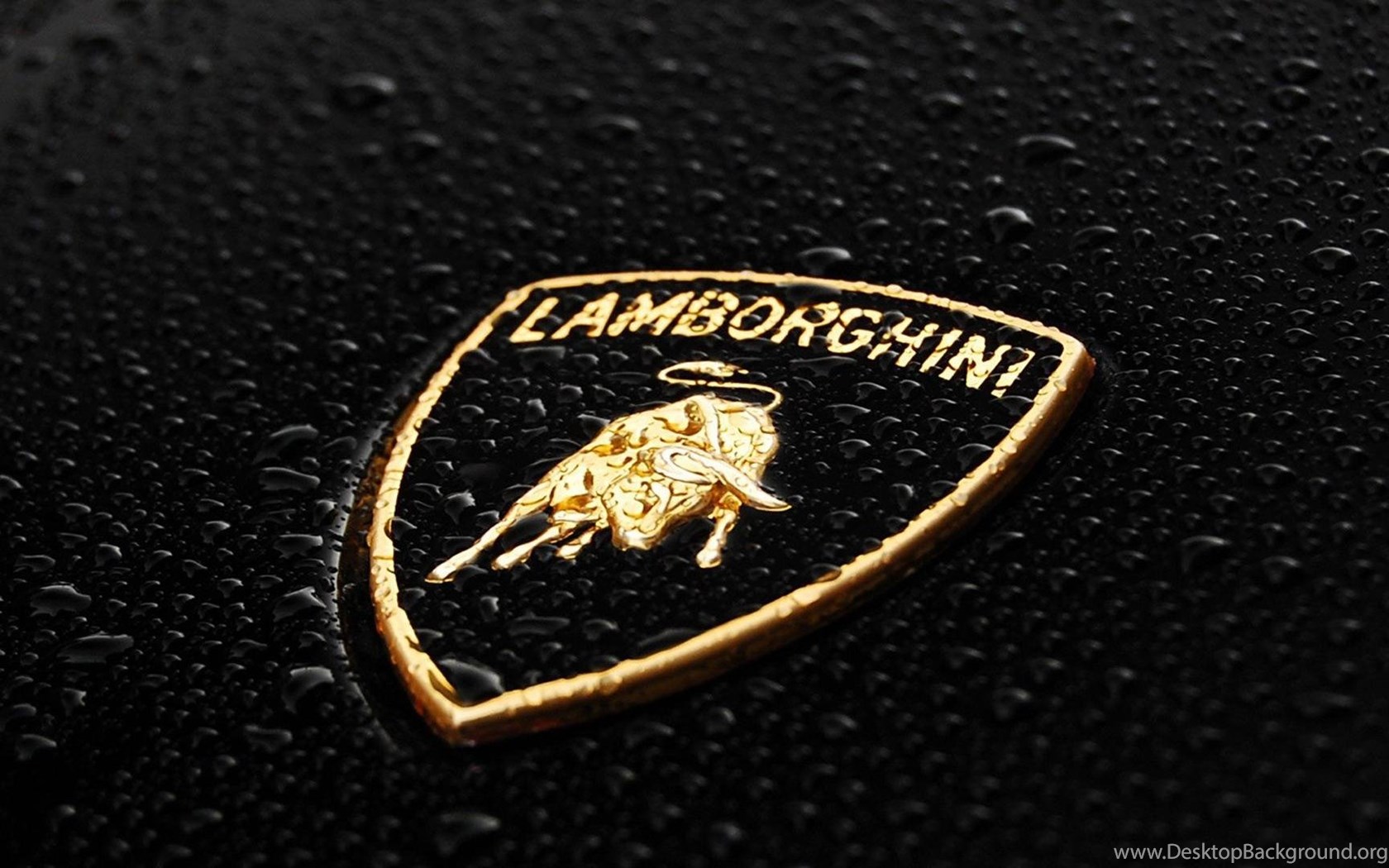 Логотип ламборгини 2024. Lamborghini логотип. Знак Ламборджини. Lamborghini шильдик. Марки машин значки Ламборджини.