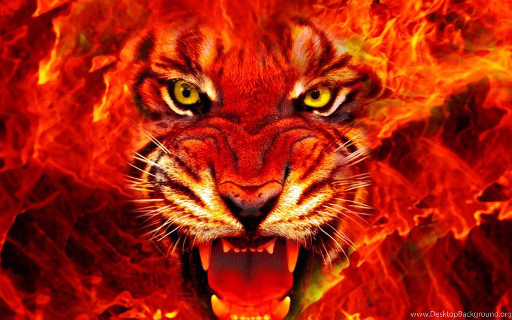 Fire tiger матричный проект