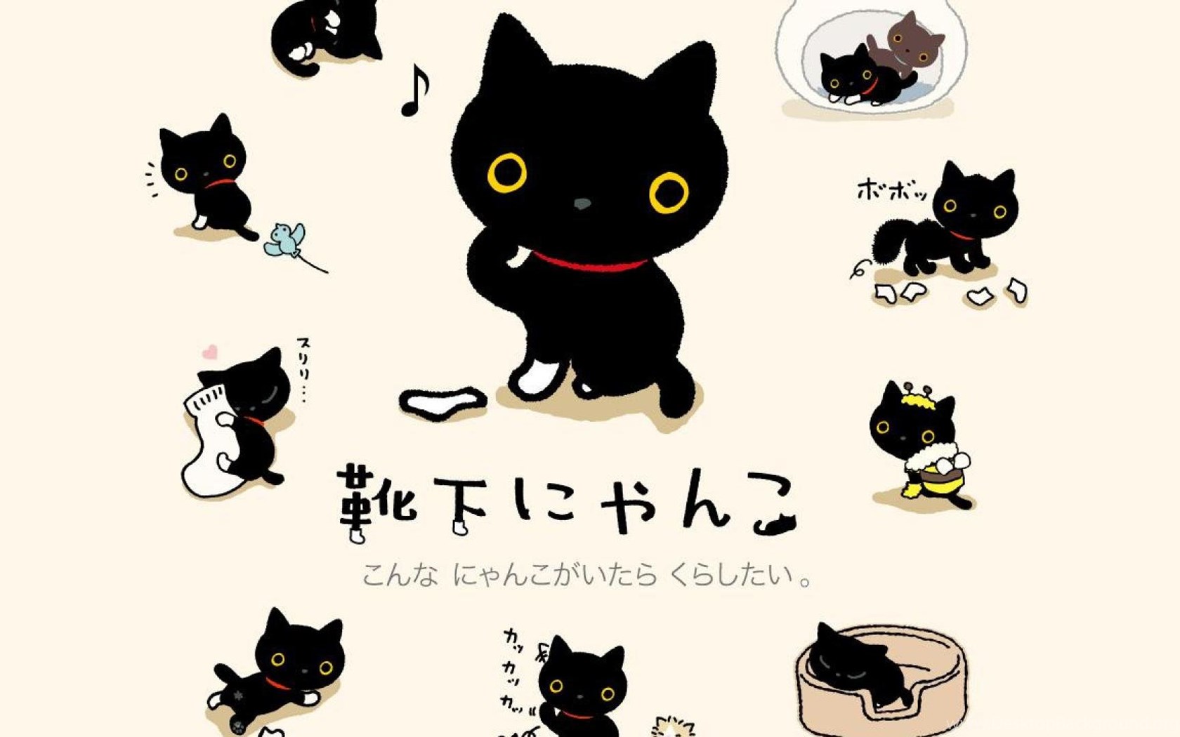 靴下 にゃんこ 壁紙 Udin 靴下 にゃんこ 壁紙 Udin