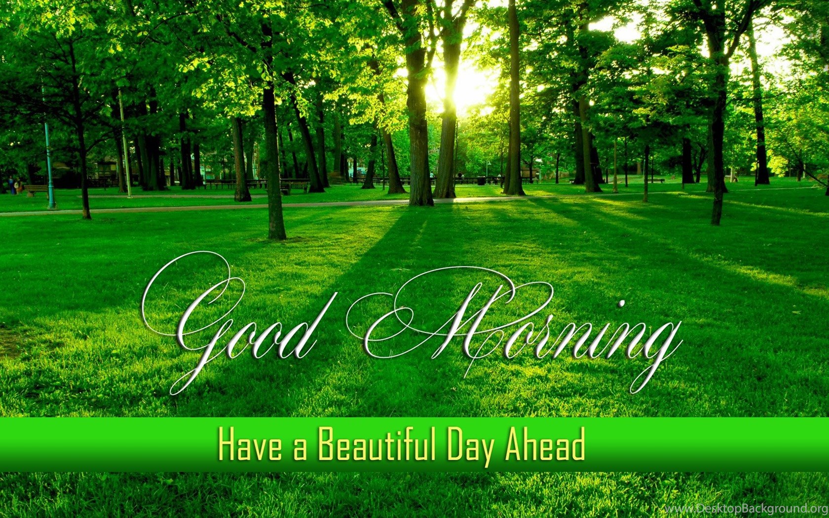 Р¤РѕРЅ good morning