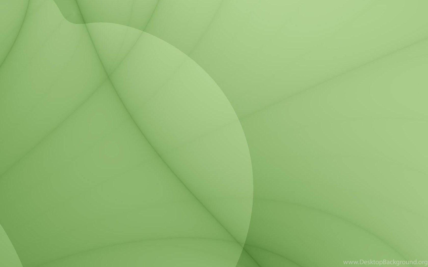 Plain green 2024 wallpaper