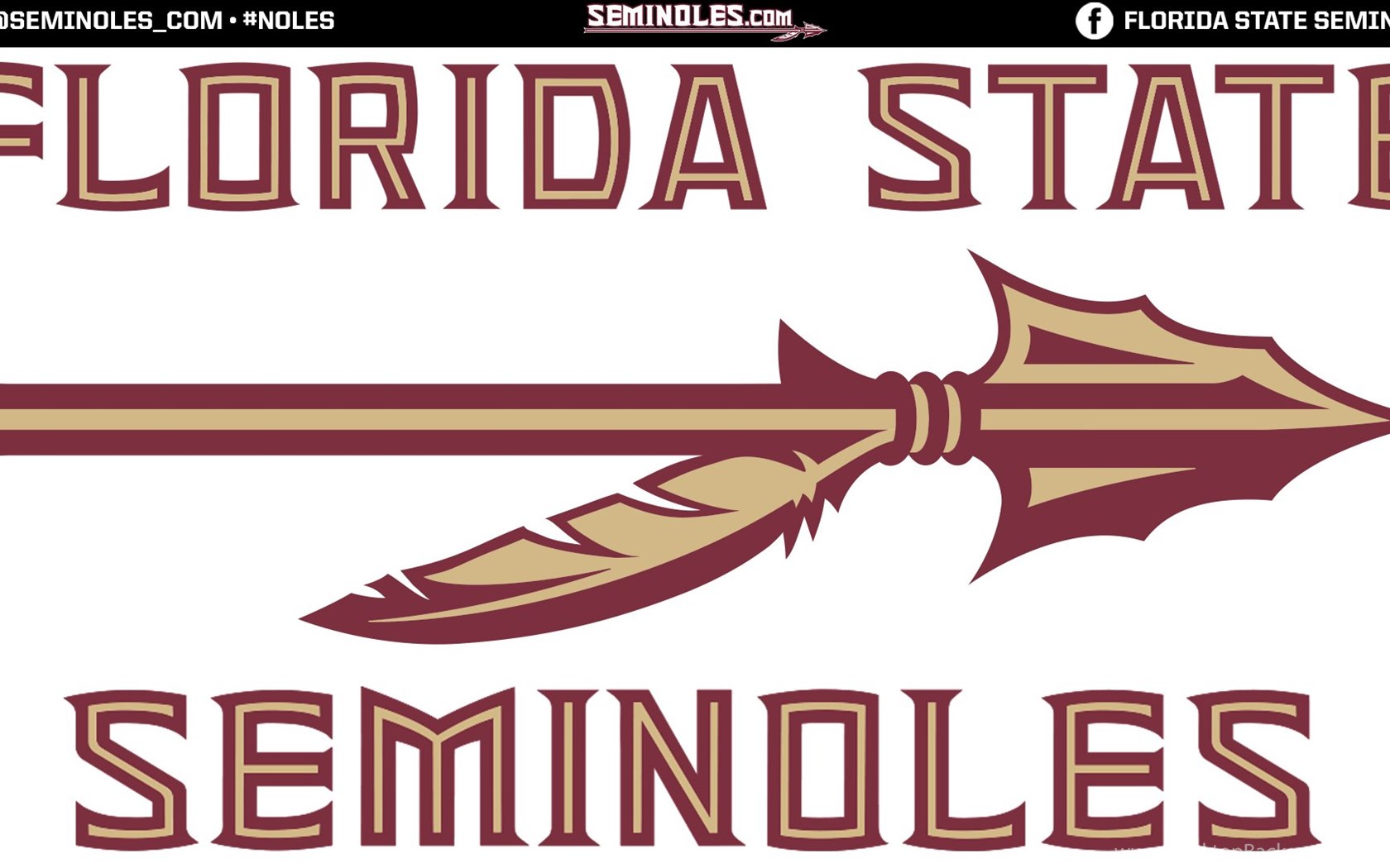 Free Coloring Pages Of Florida State Seminoles Desktop Background