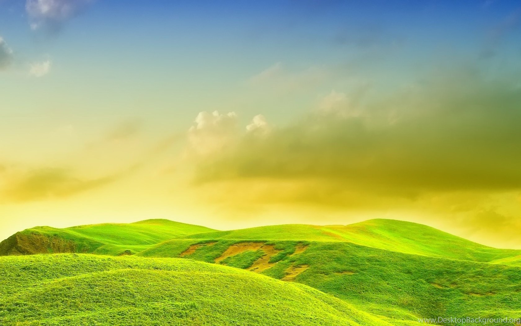 Green Yellow Nature Wallpapers  Desktop  Background 