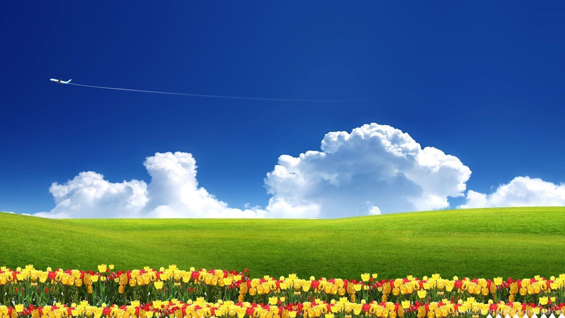 Beautiful Summer Garden Wallpapers HD 1080p For Desktop Desktop Background