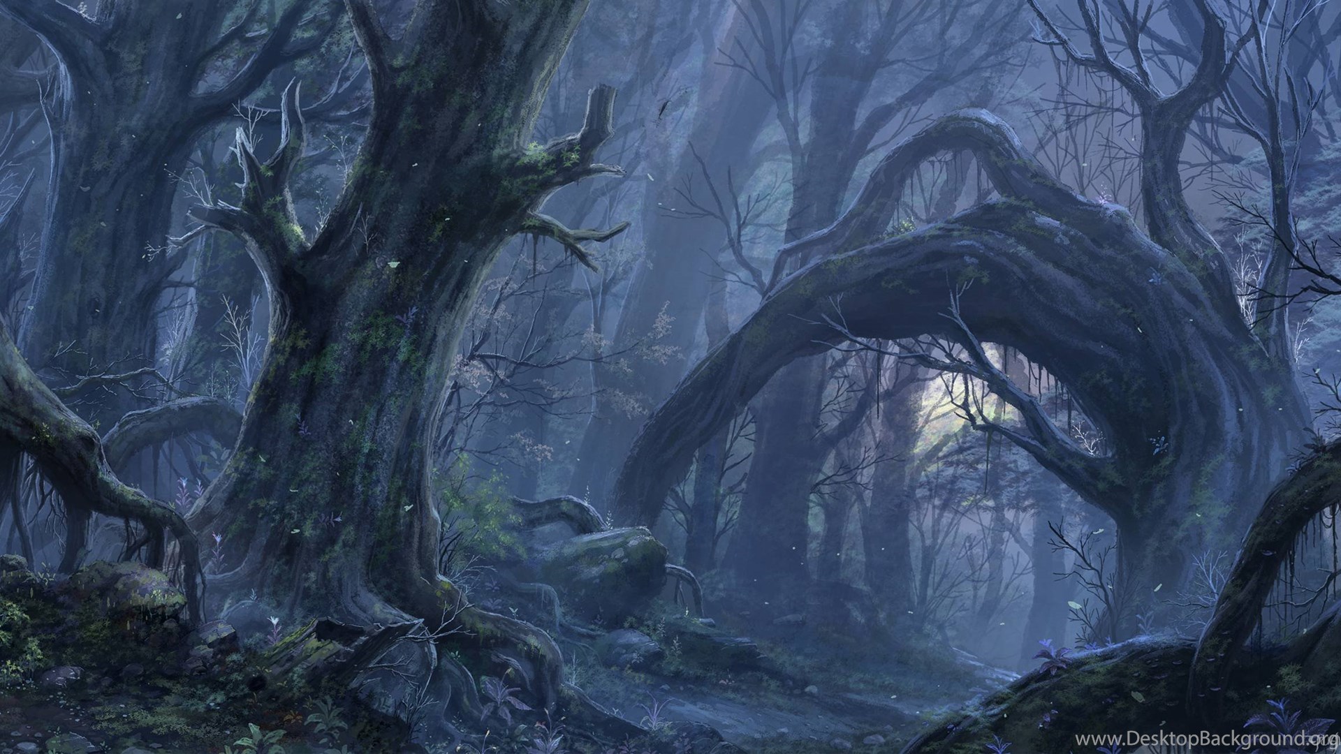 Fantasy Forest Wallpapers Desktop Background