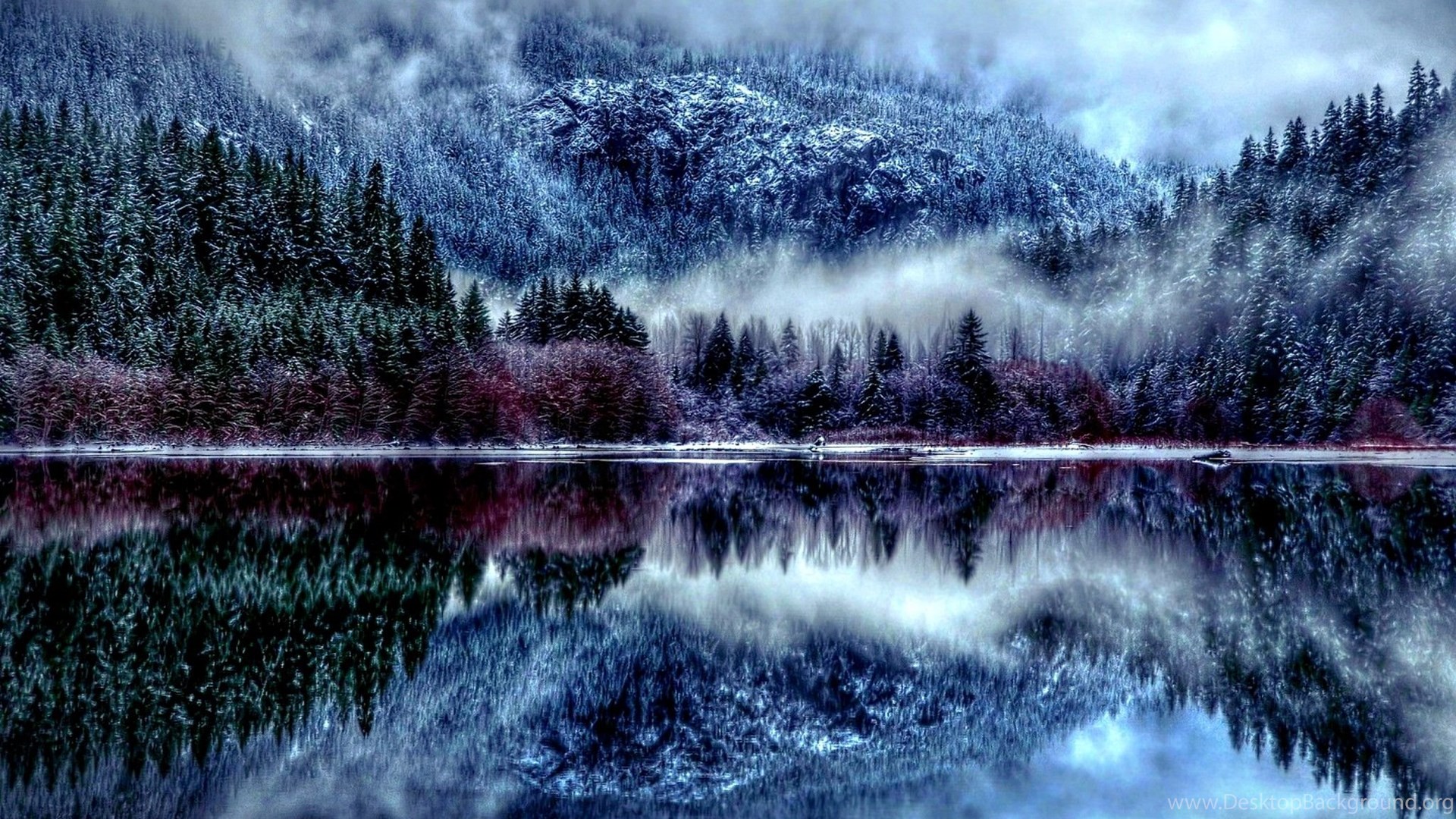 Winter Forest Wallpaper 1920x1080 Freewalldroid 1920x1080 winter forest wallpaper desktop high quality of smartphone snow>. freewalldroid
