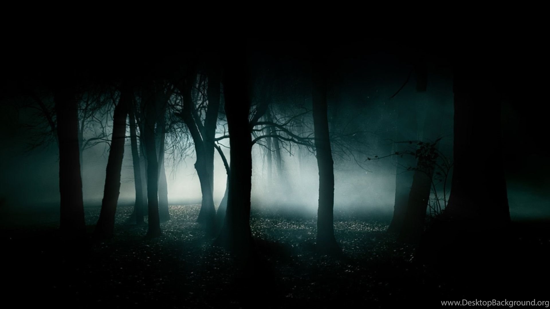 Dark Forest Landscape Background Wallpaper Hd Resolution Dlwallhd