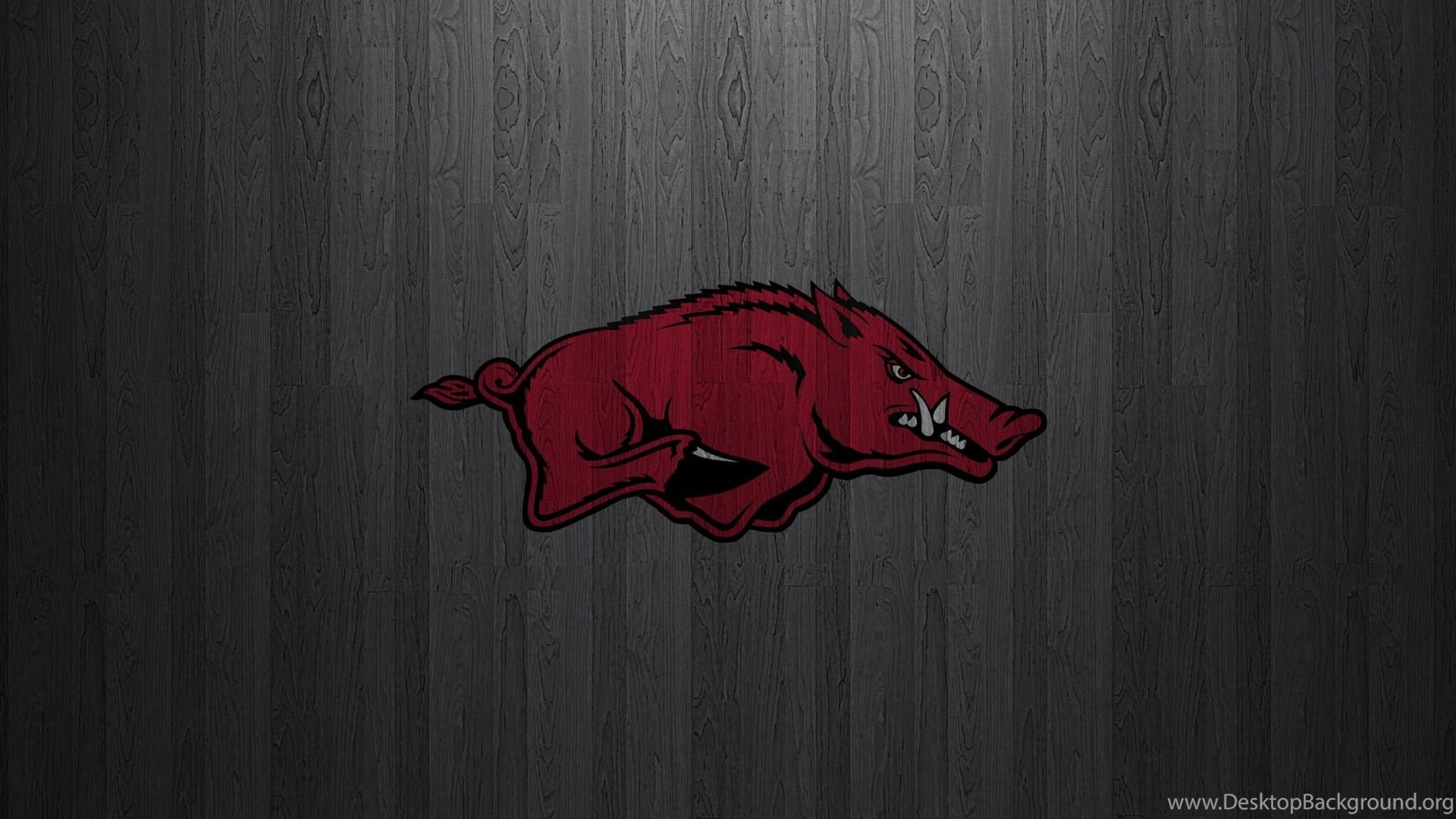 Arkansas Razorbacks Wallpaper HD Wallpapers Download Free Map Images Wallpaper [wallpaper684.blogspot.com]