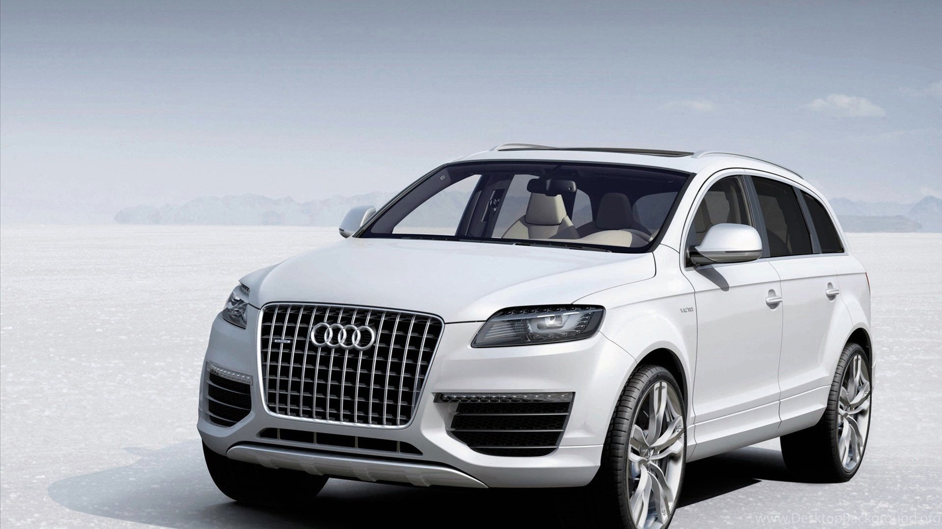 What Is The Biggest Audi Suv