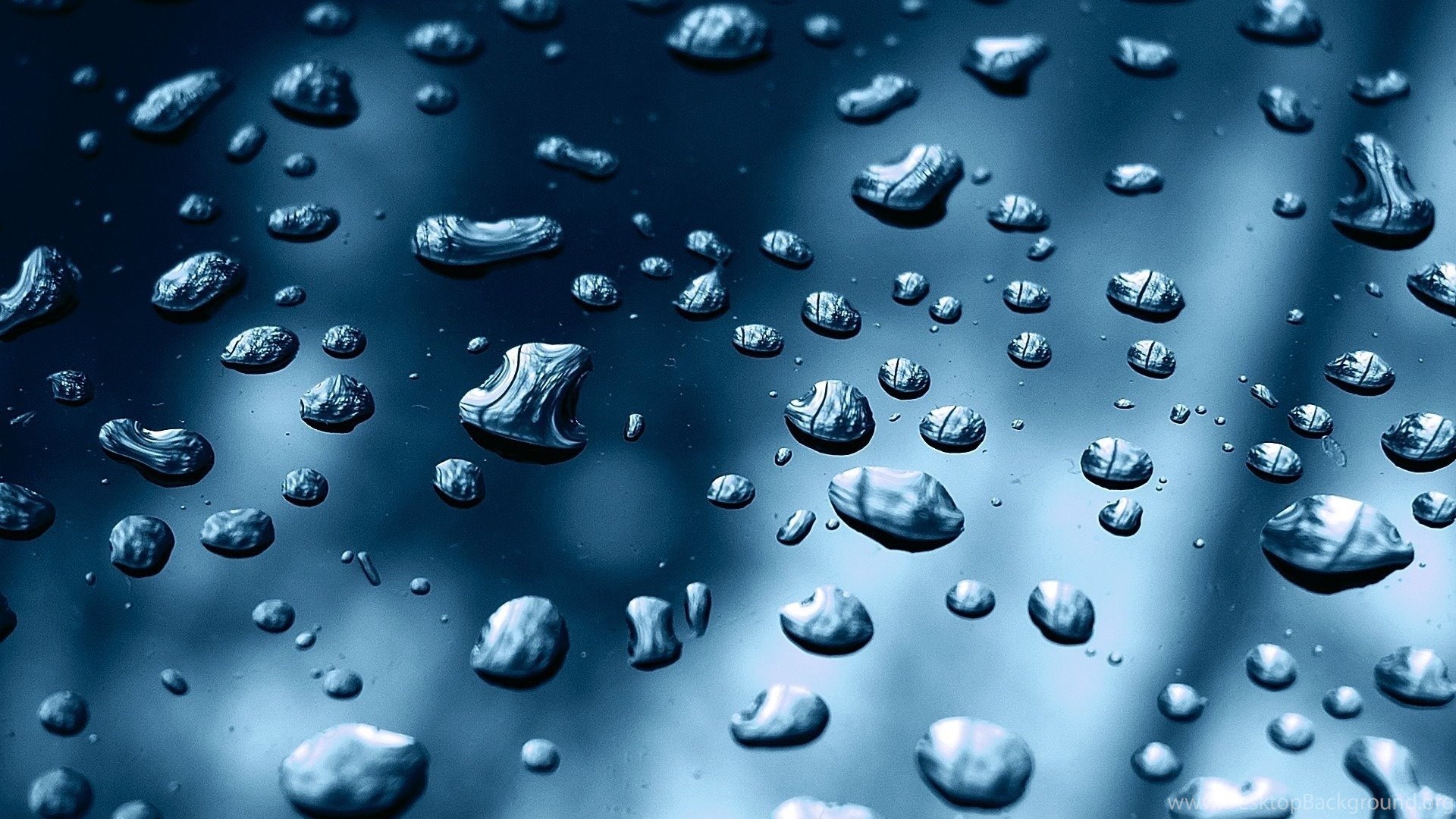 Wallpapers Macro Glass Water Droplets 1920x1200 Desktop Background