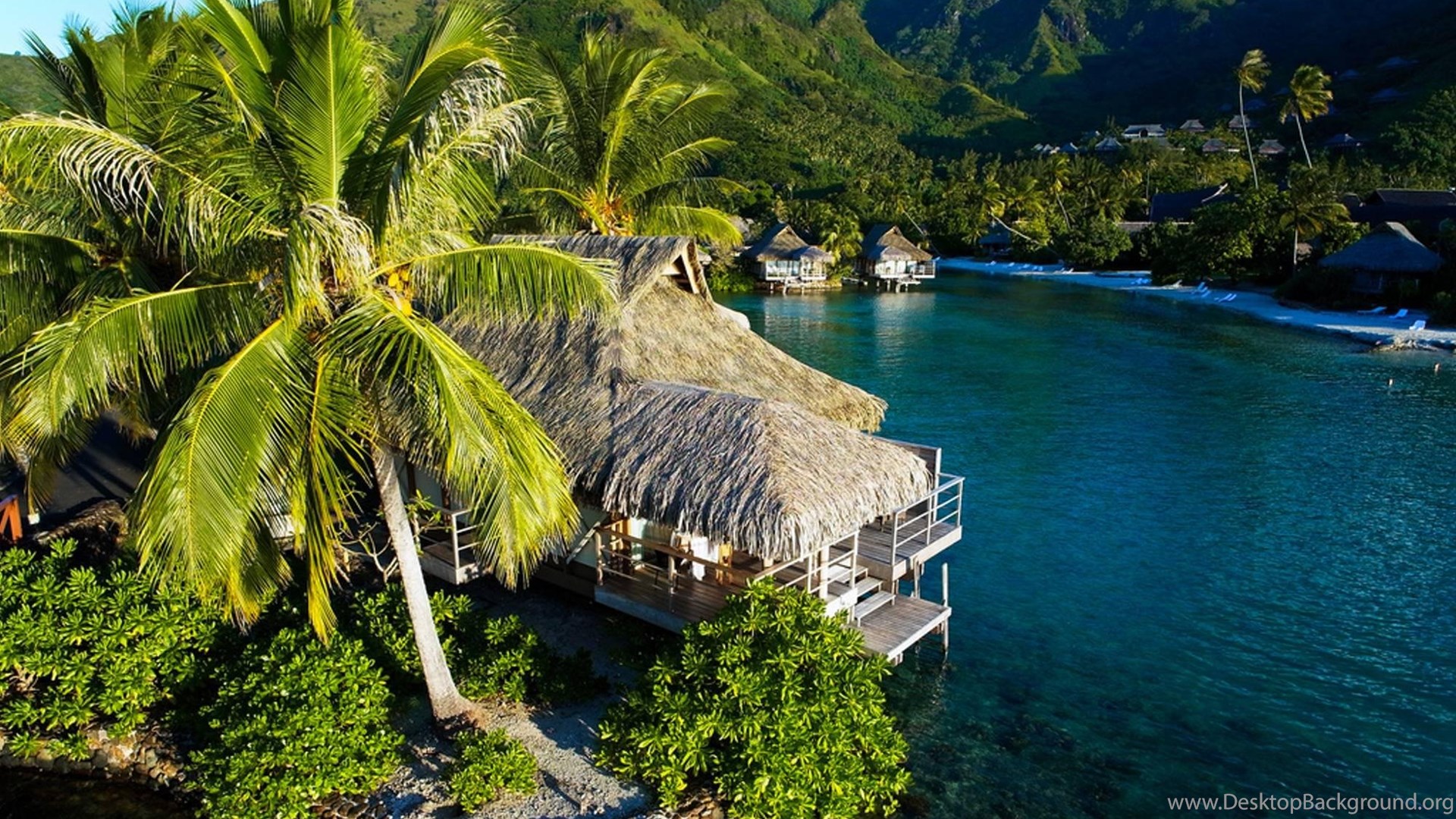 Остров француз. Муреа Таити. Moorea французская Полинезия. Остров Марито французская Полинезия. Остров Муреа.