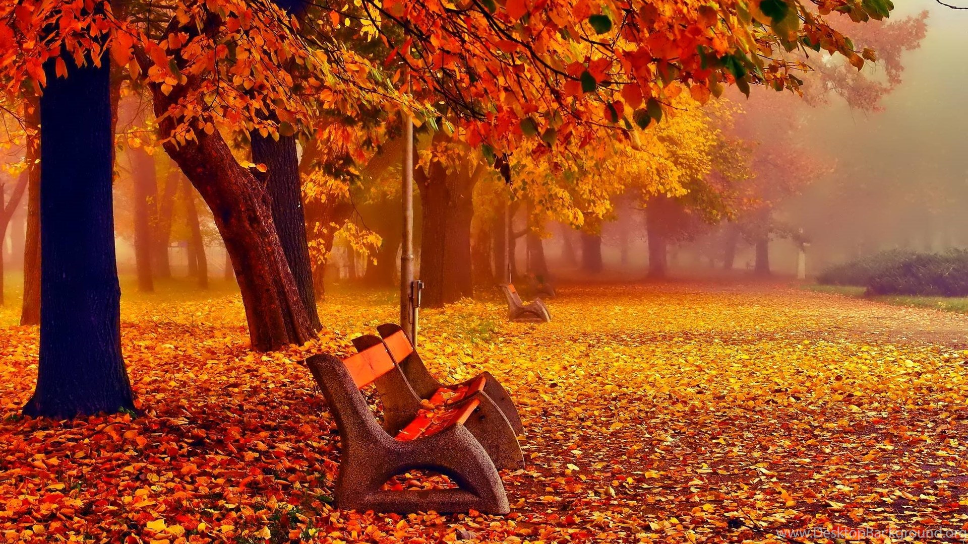 Autumn Fall Wallpapers November Desktop Background