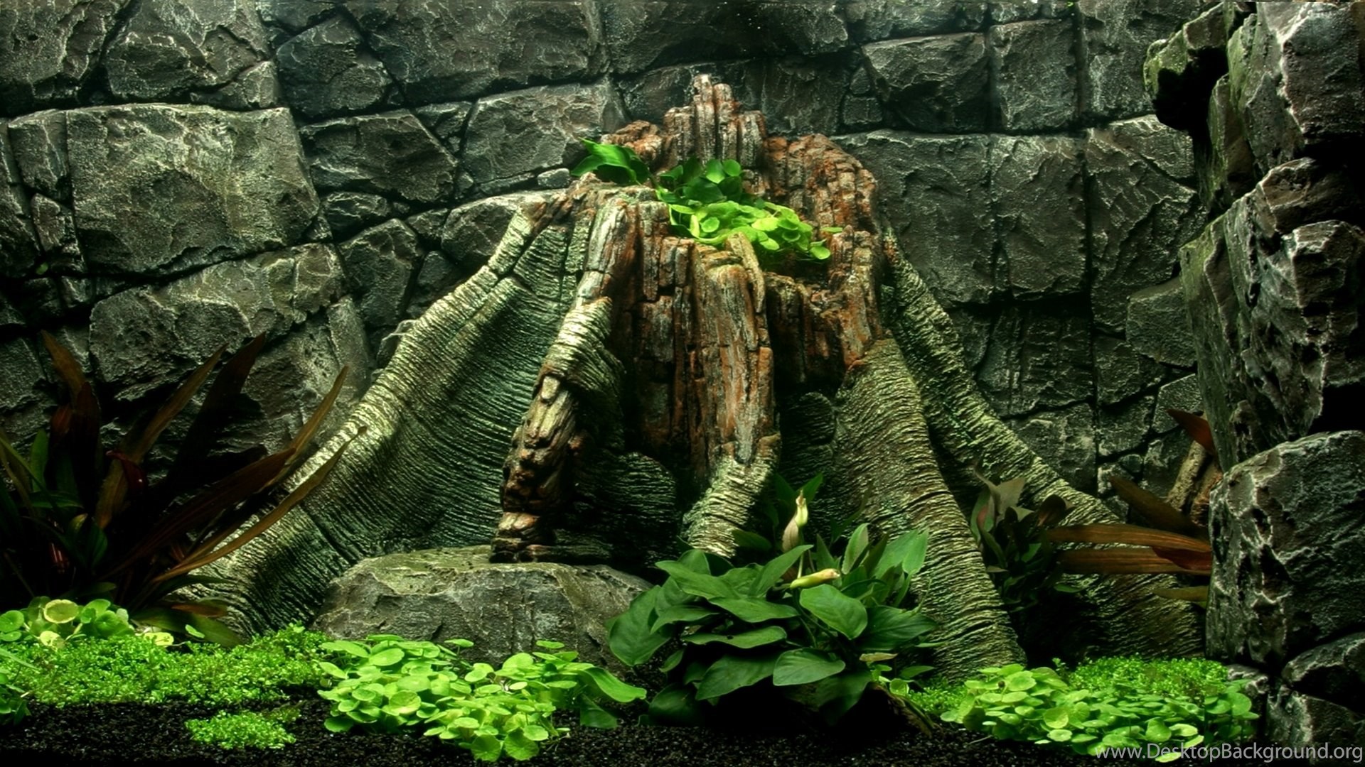 dream aquarium android dream aquarium android
