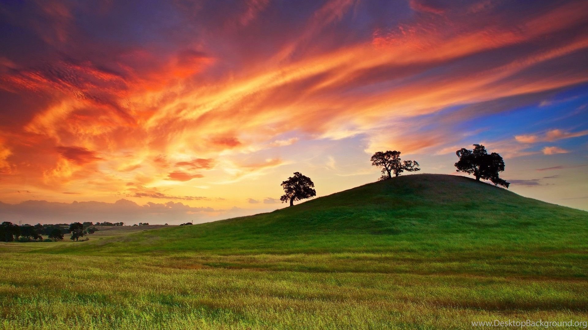 Sunset Behind The Green Hill Tree Sky Cloud Grass Nature