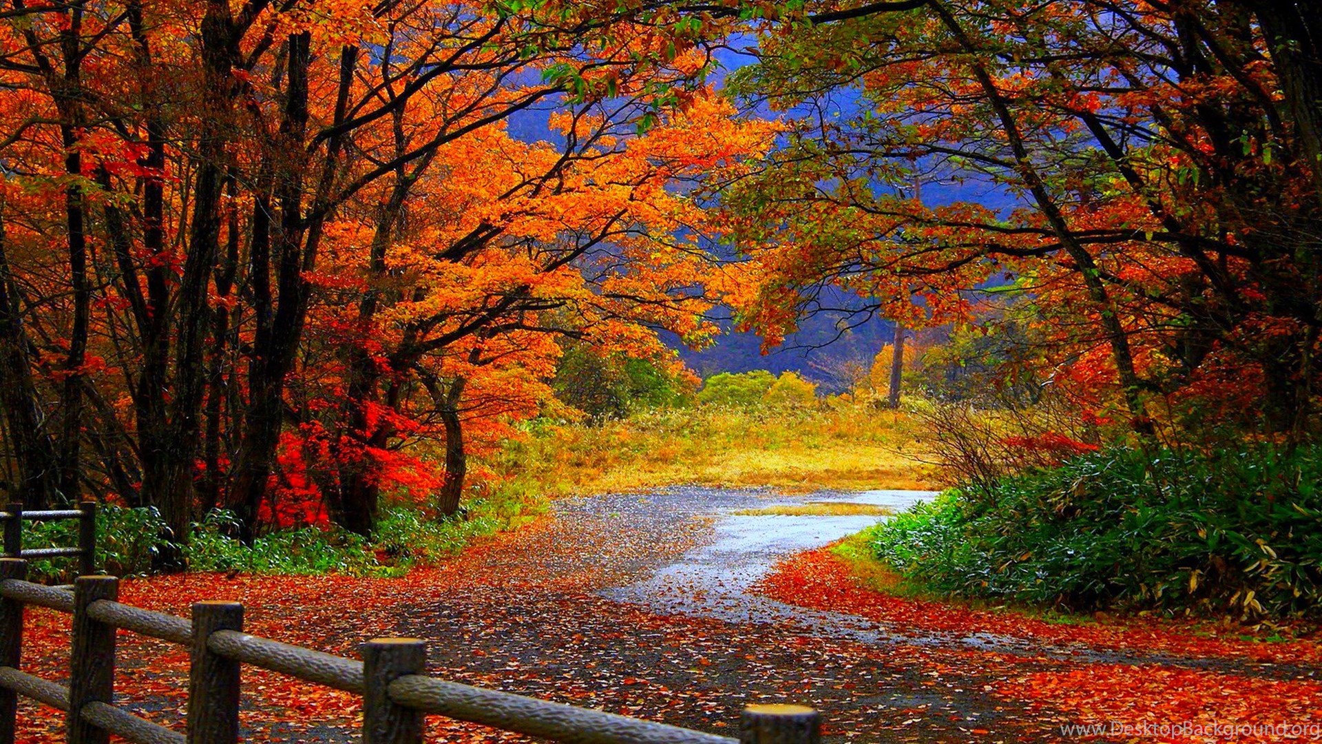 Autumn%20Season%20HD%20Wallpapers%20Desktop%20Background