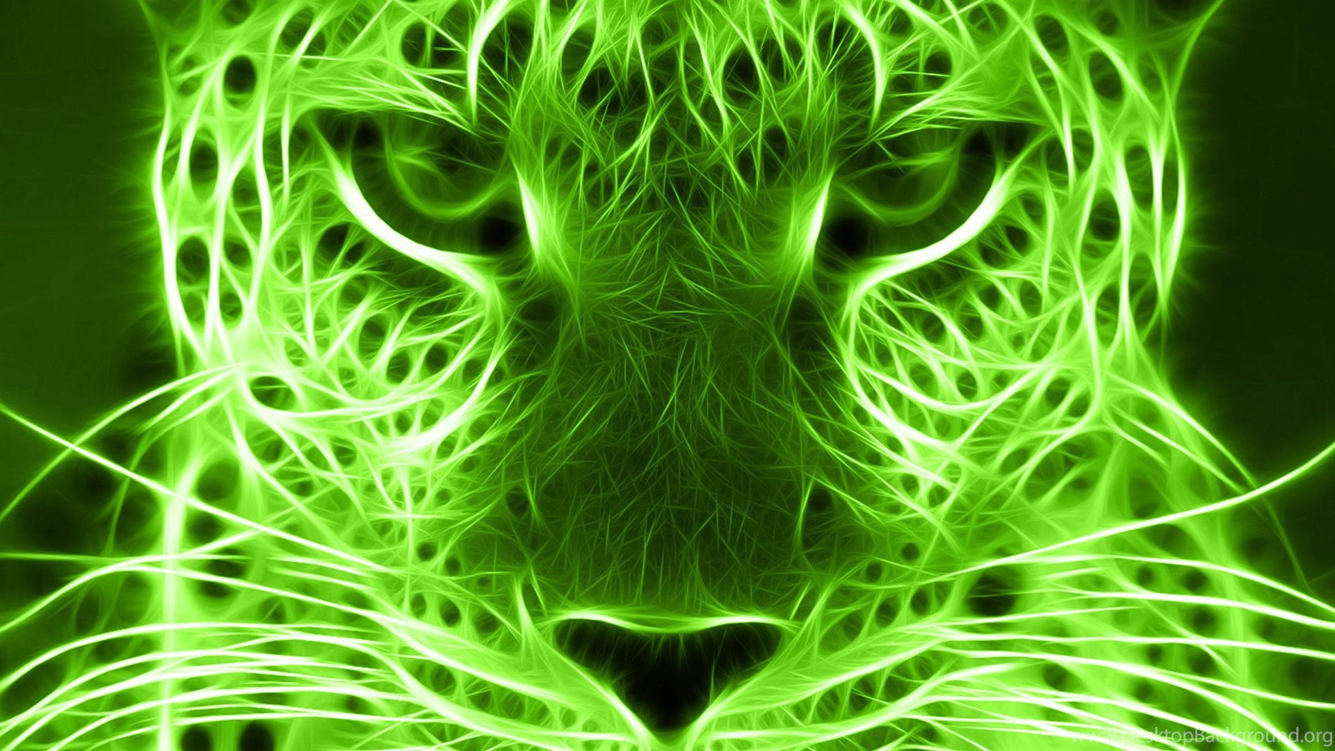 Green 3D Leopard Wallpaper, Green Backgrounds, Pictures And Images