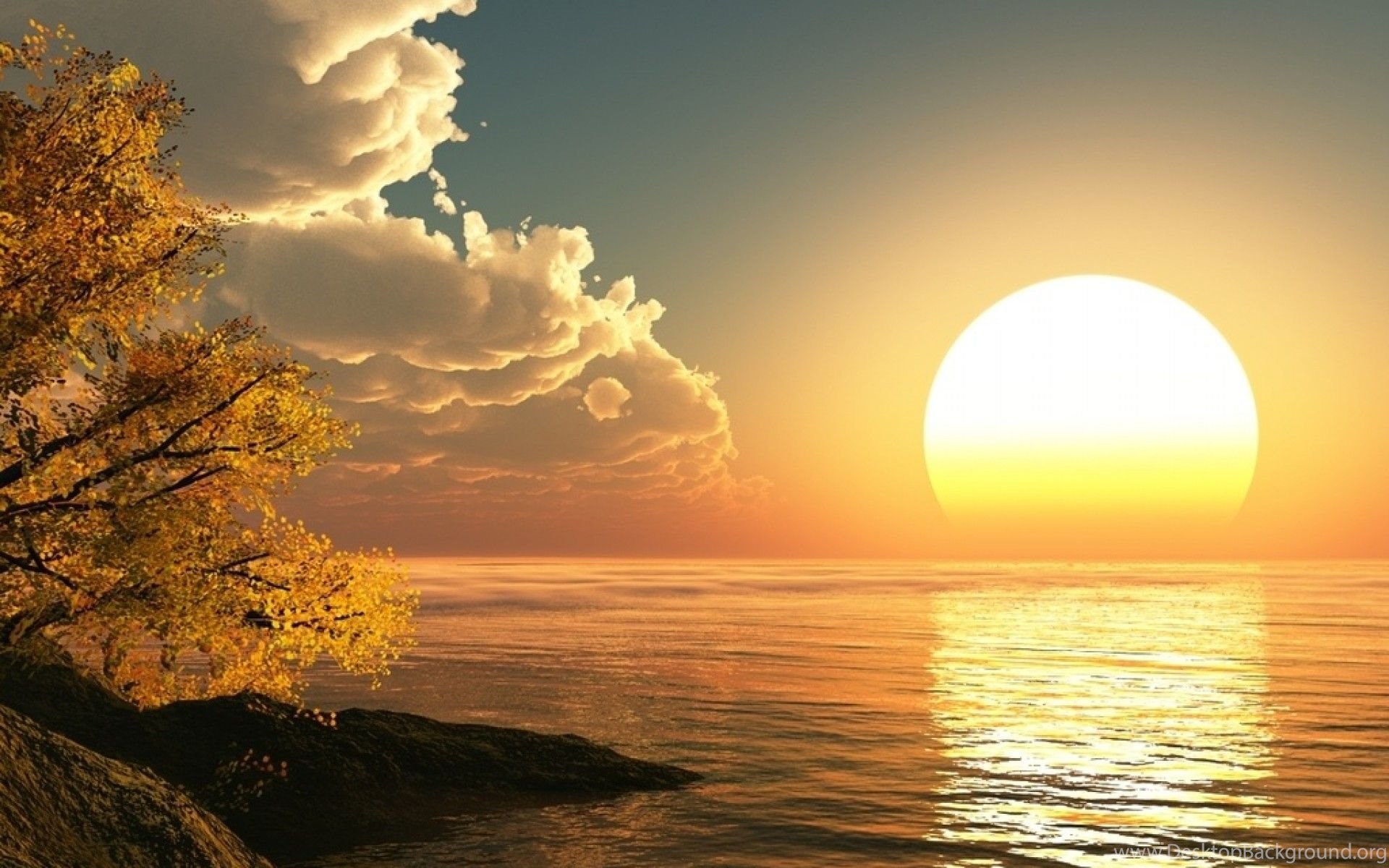 Sunlight Hd Wallpaper Sunlight Backgrounds New Wallpapers Desktop Background