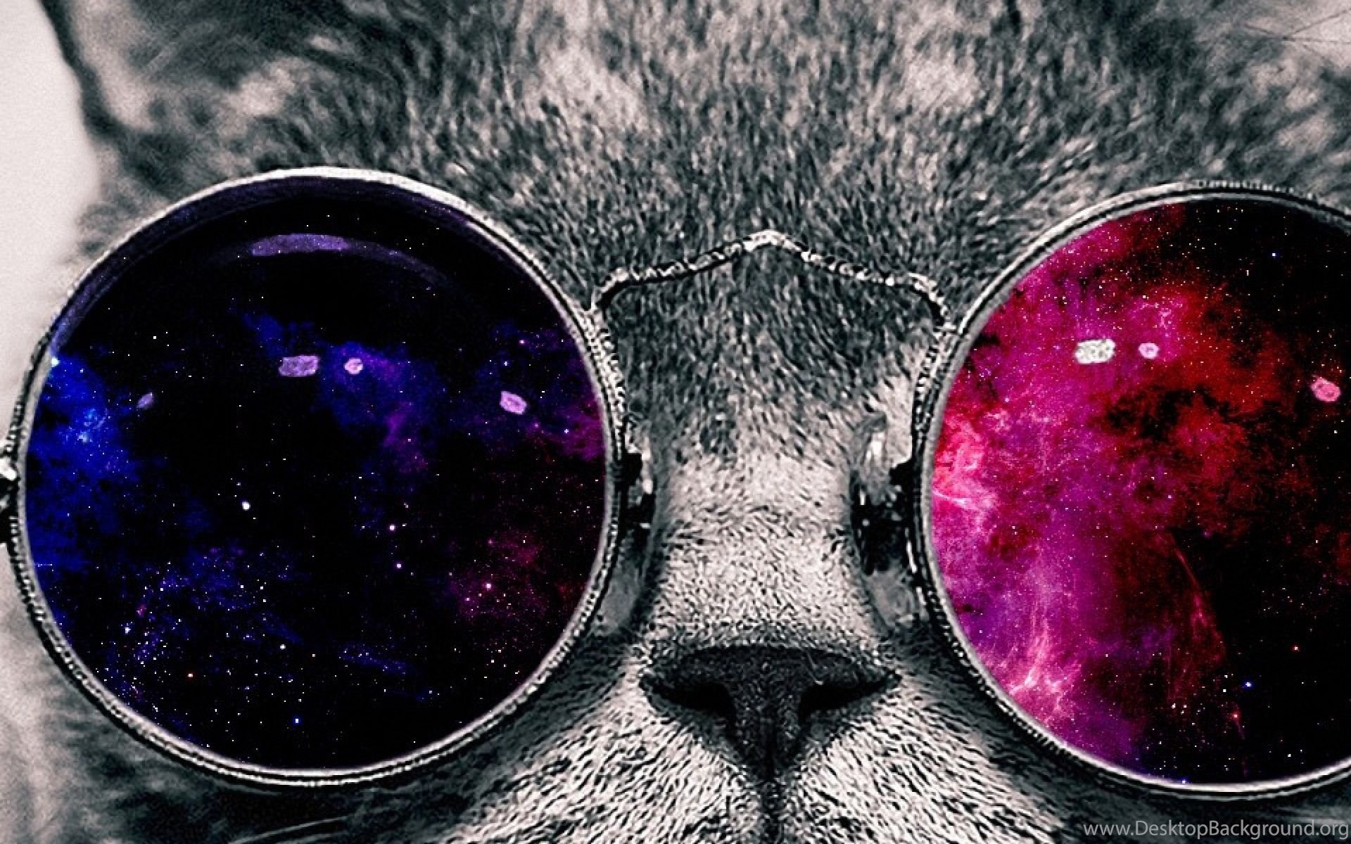 Space Galaxy Cat With Glasses (page 5) Pics About Space  