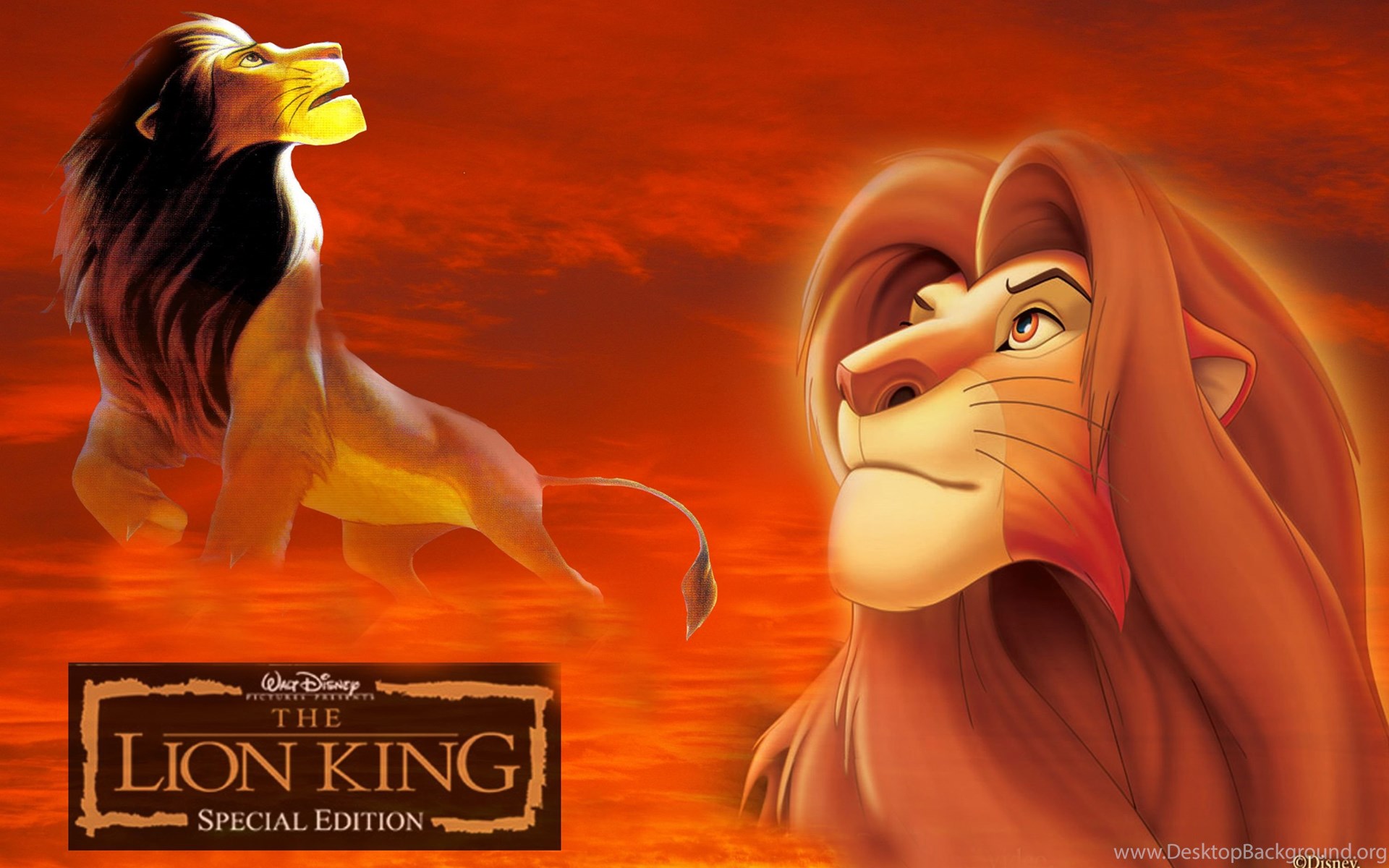 Download The Lion King Popular 1920x1200 Desktop Background. 