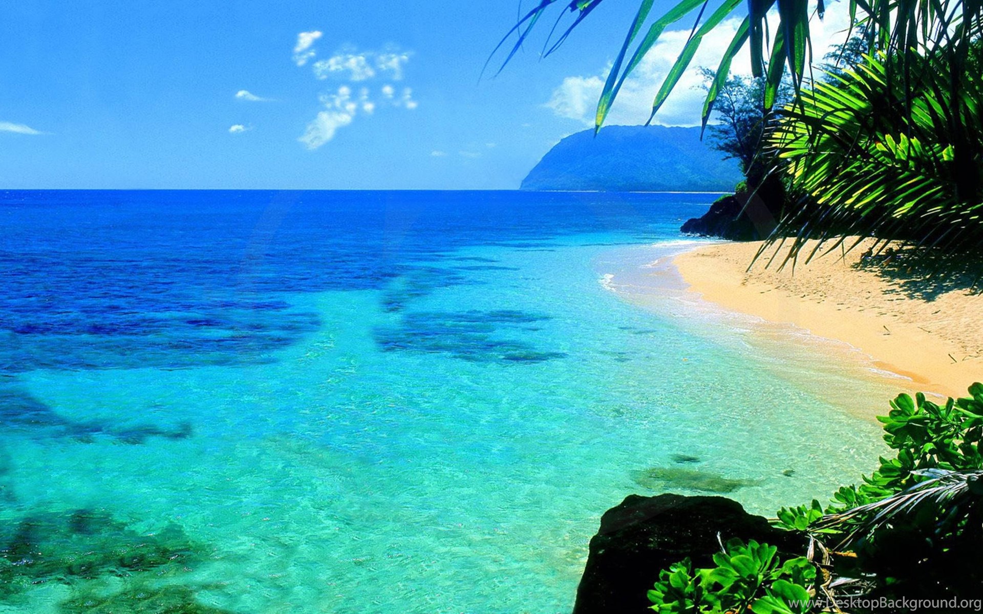 Hi is beautiful. Остров Кауаи, Гавайские острова. Гавайи Мальдивы Карибы. Море пляж. Остров пляж.
