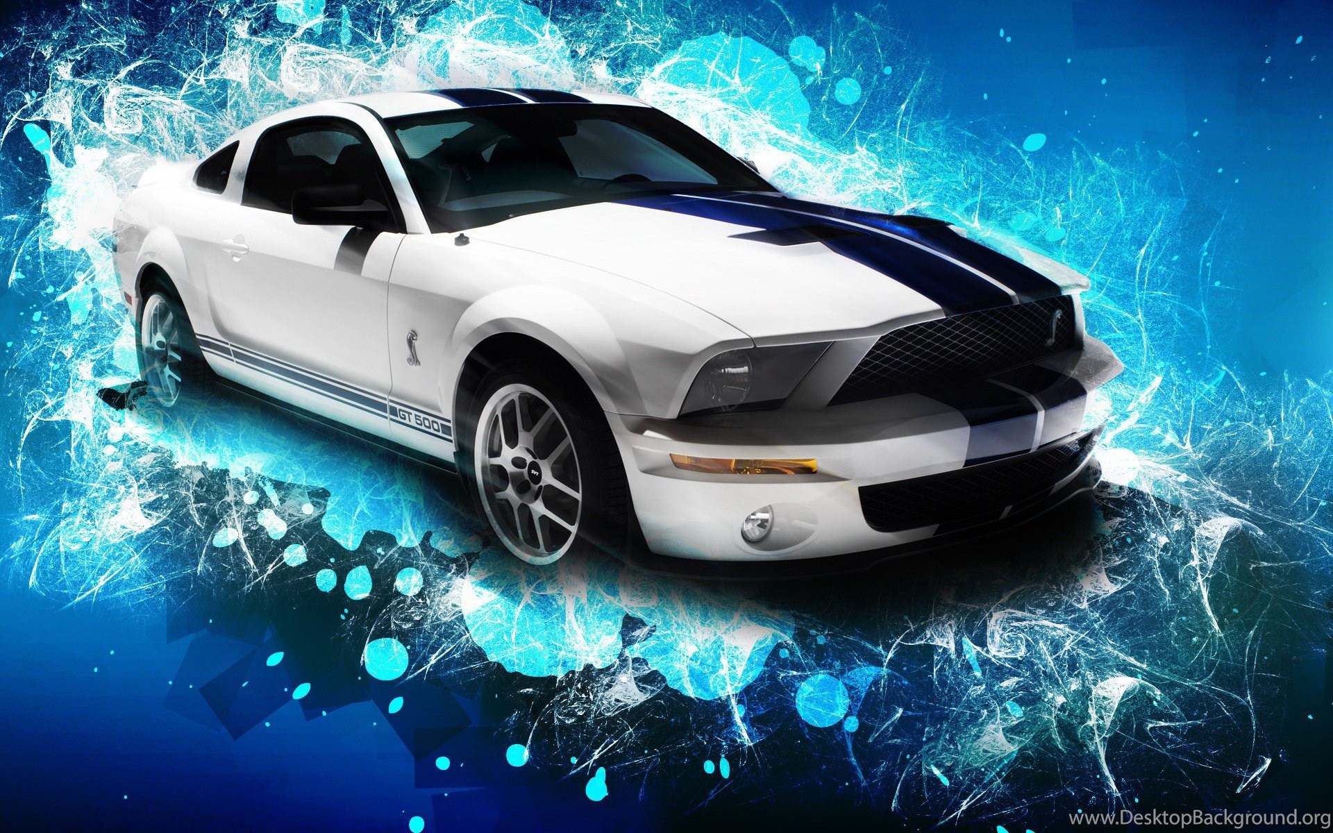 Cars Ford Shelby Mustang Ford Mustang Shelby Gt500 Wallpapers Images, Photos, Reviews