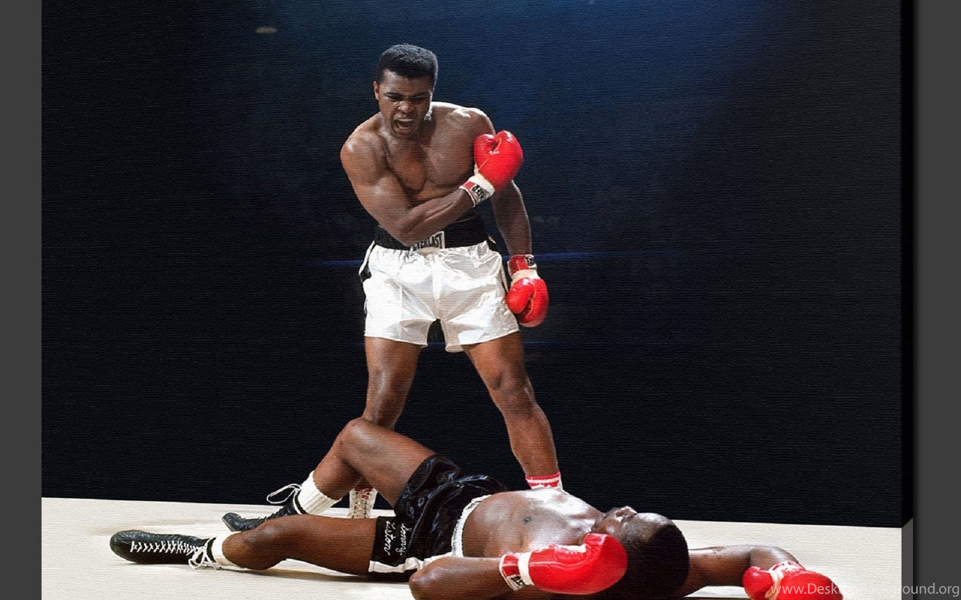 1920x1200 Boxer, Boxing, Champions, Muhammad Ali, Muhammad Ali