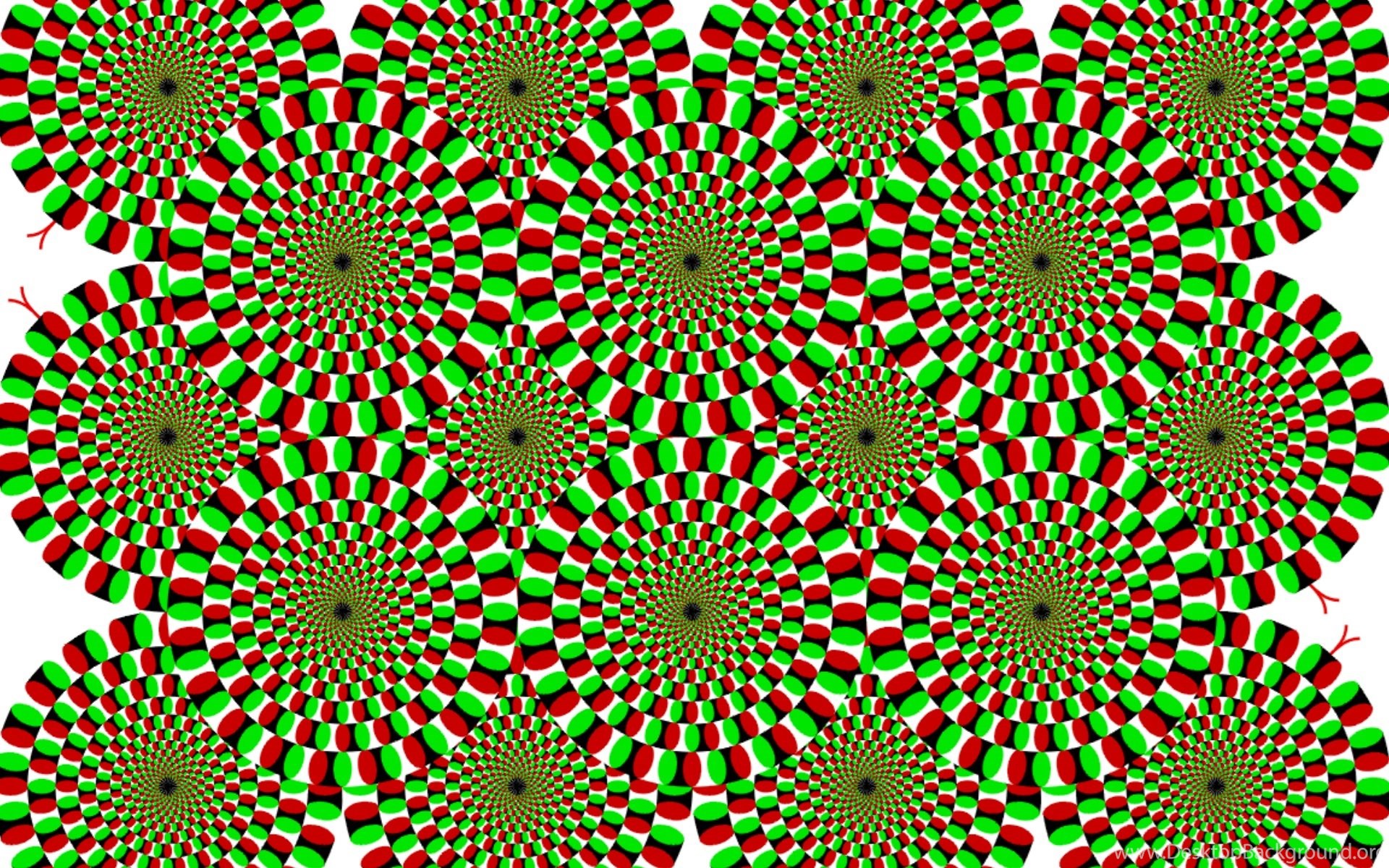 Иллюзия. Оптическая иллюзия Акиоши Китаока. Вращающиеся змеи Акиоши Китаока. Японский психиатр Акиоши Китаока. Иллюзии психиатра Акиоши Китаока.
