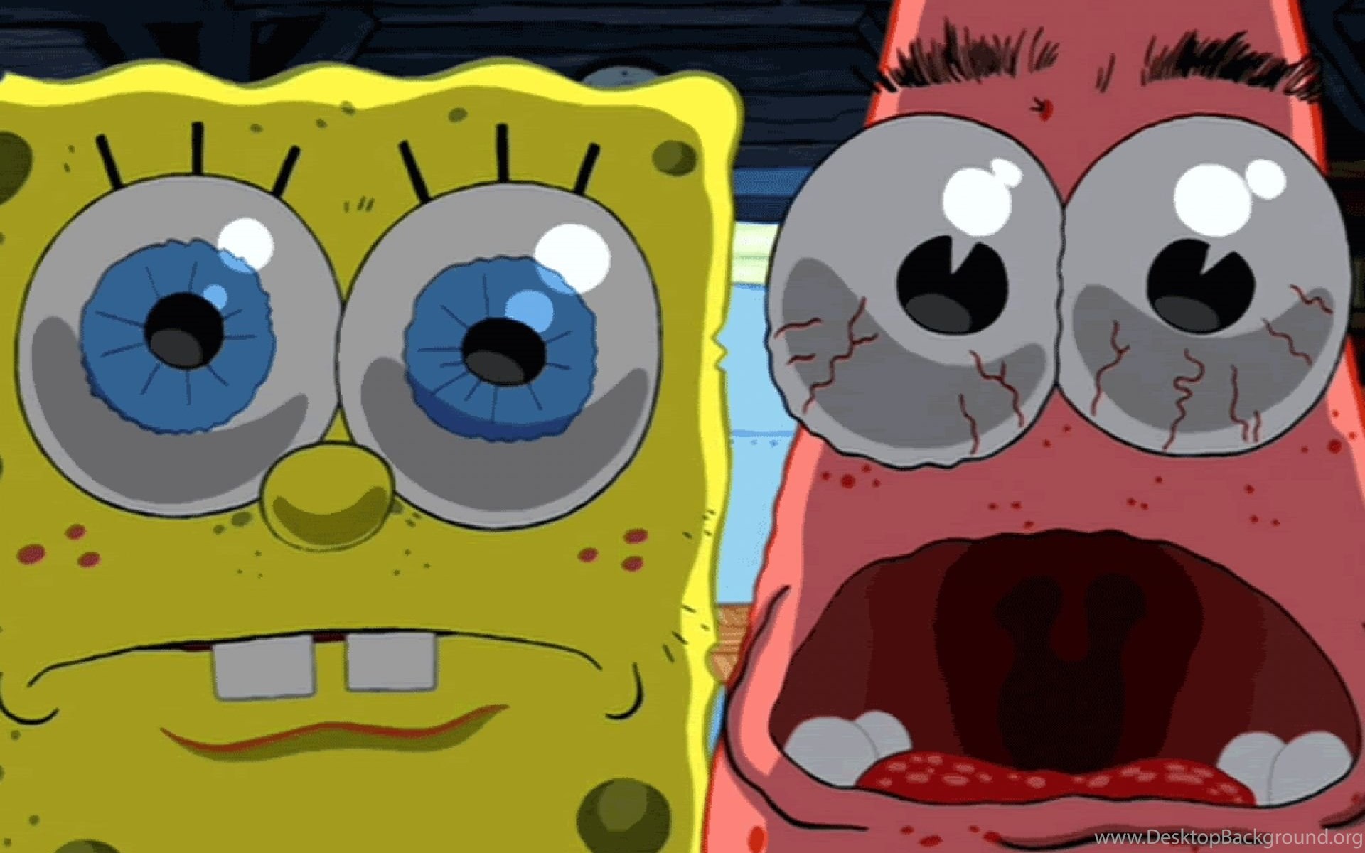 Image Funny Spongebob Wallpaper Jpg Wikifordummies Wiki Wikia