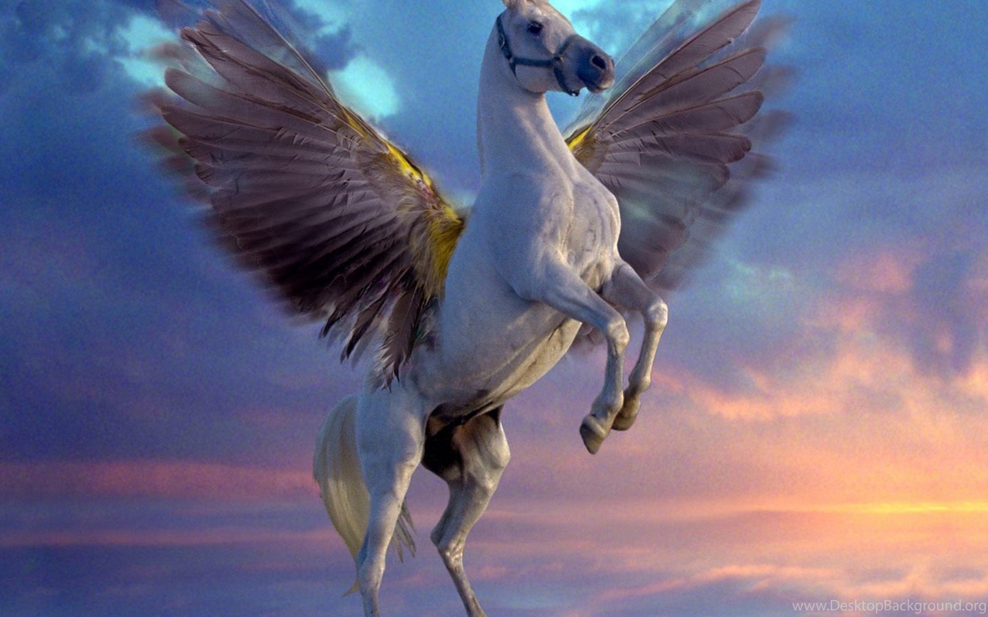 Отец крылатого коня пегаса. Пегас древнегреческая мифология. Лошадь с крыльями. Пегас, мифический конь. Пегас лошадь.