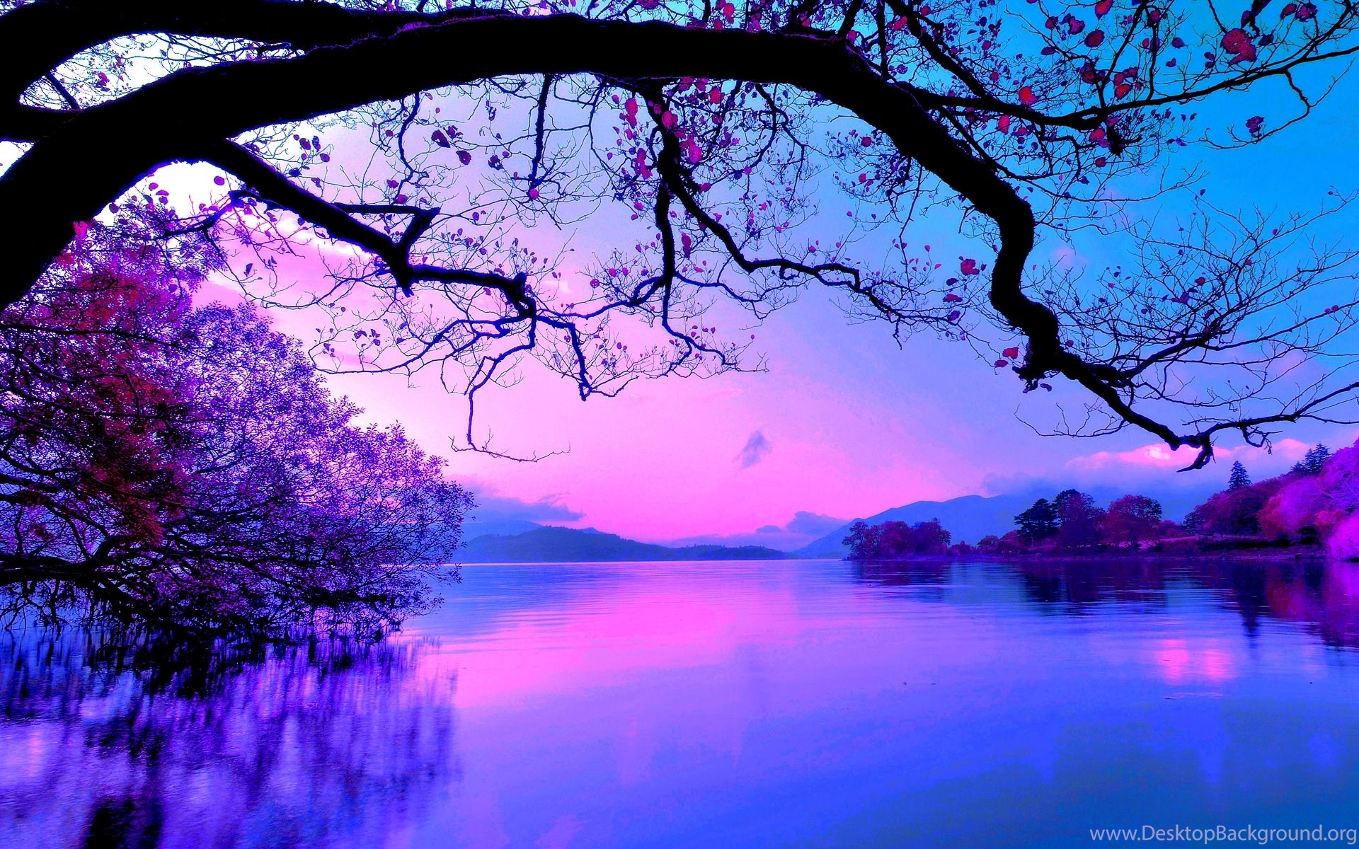 That a beautiful picture