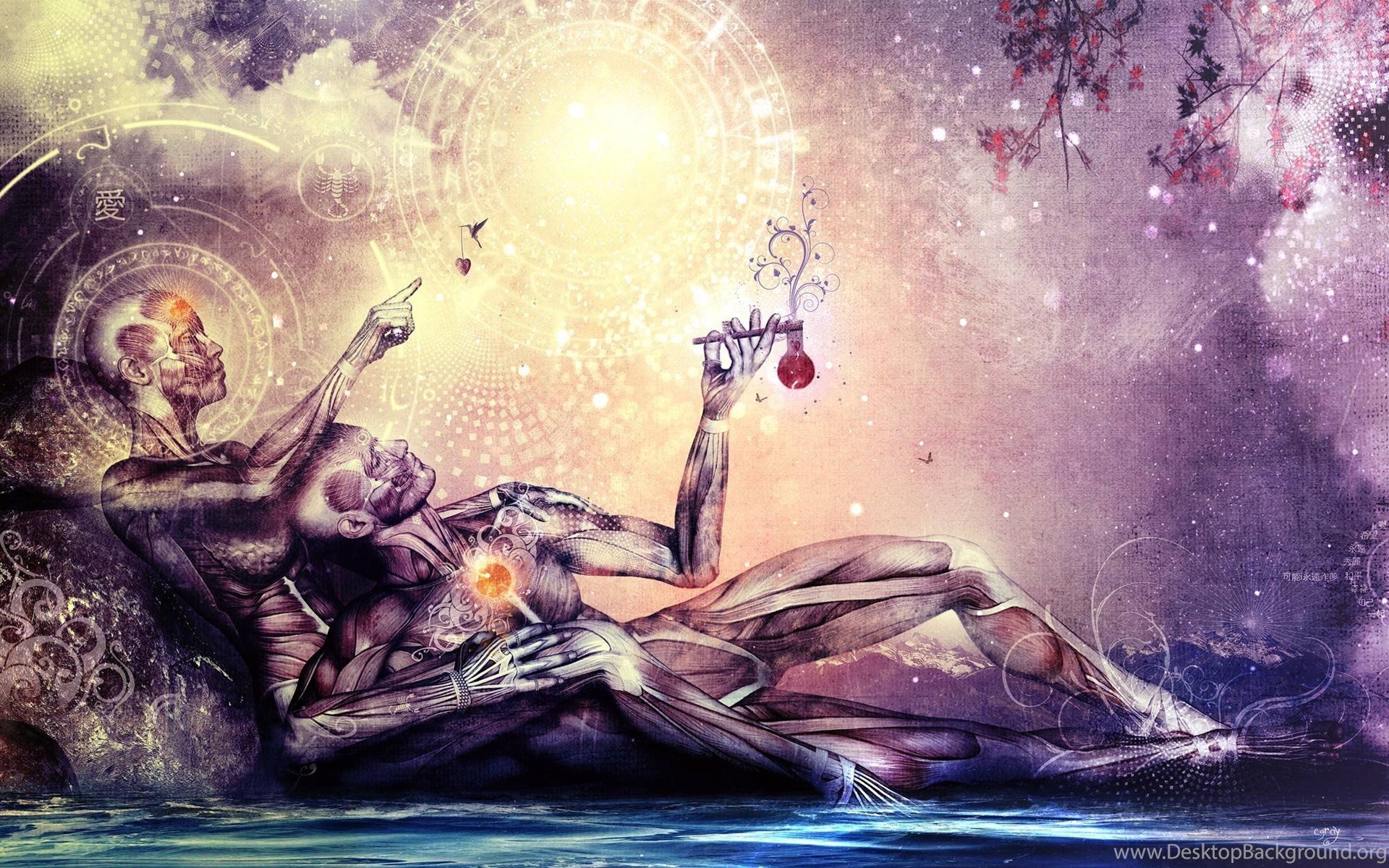 dmt nexus dmt nexus