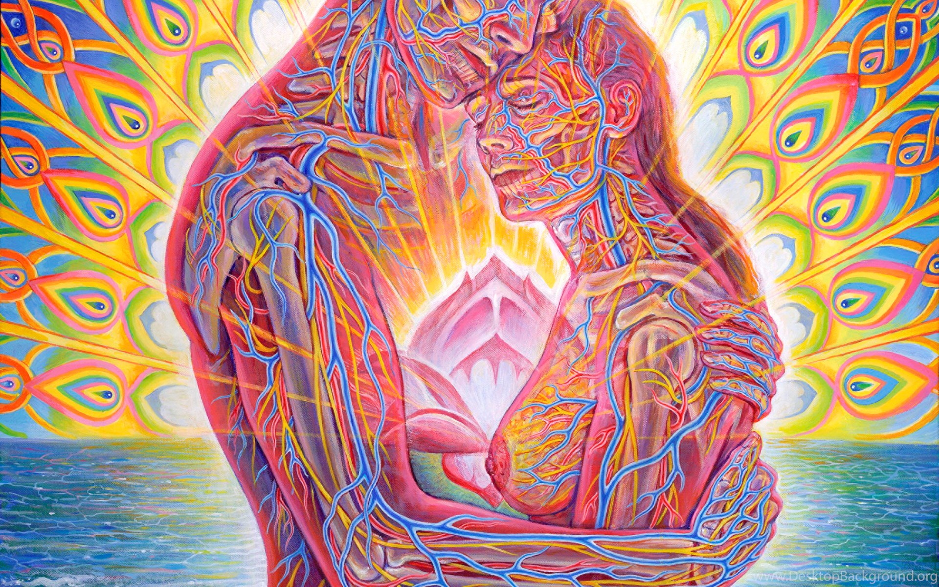 Wallpapers Alex Grey Gray 800x600 Desktop Background Images, Photos, Reviews