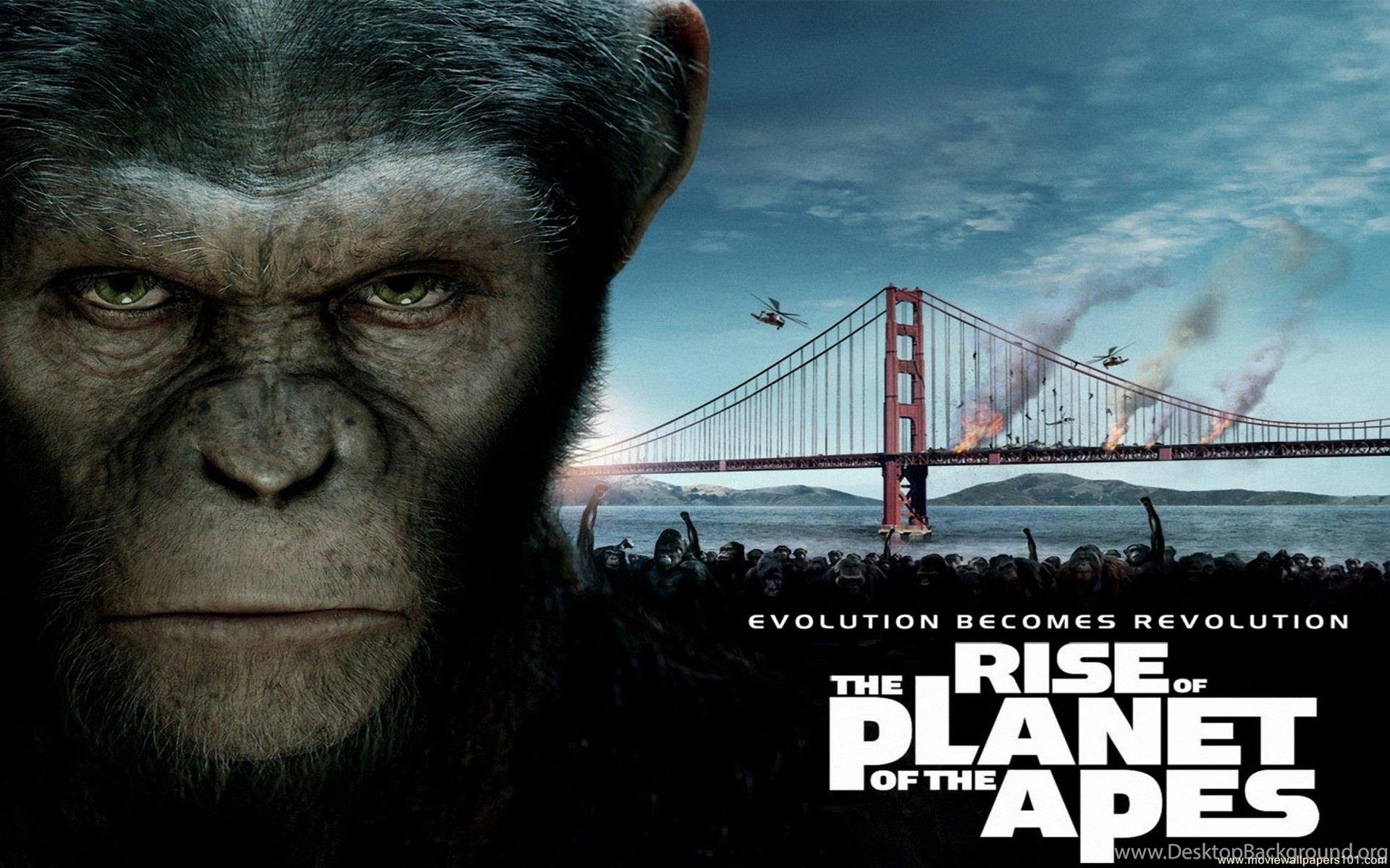 Восстание планеты обезьян 2011.