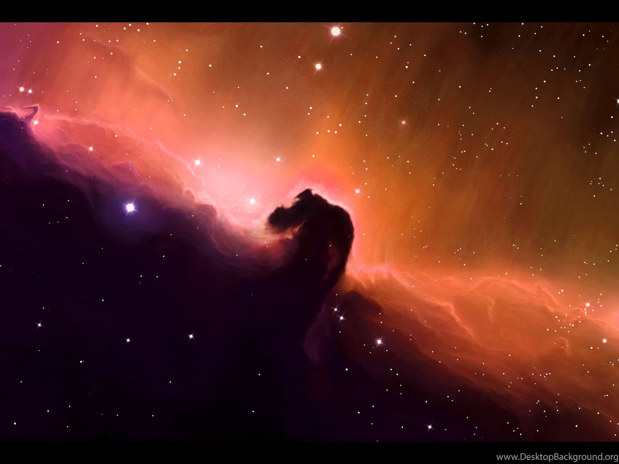 Космос сквозь звезды. Туманность Ориона конская голова. Туманность конская голова в созвездии Ориона. Конская голова в созвездии Ориона. Туманность Лошадиная голова.