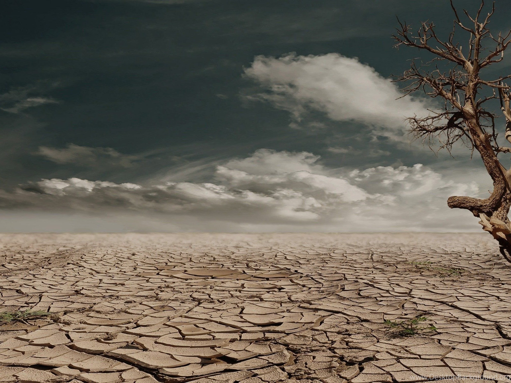 Атмосферная засуха. Земля в пустыне. Пустыня засуха. Кислотные дожди, опустынивание и деградация земель.