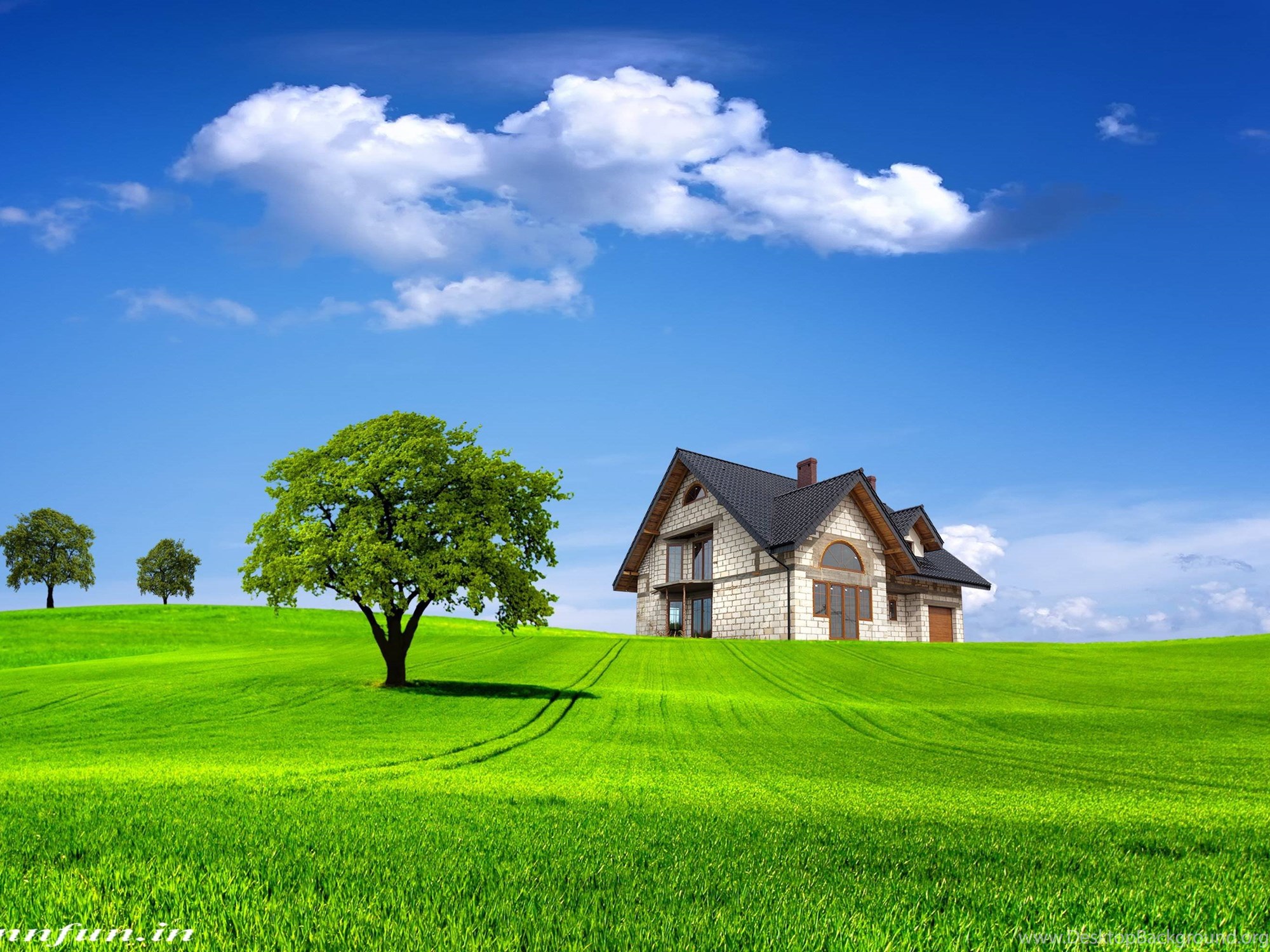 Free Download Hd Nature Wallpapers For Mobile Desktop Background