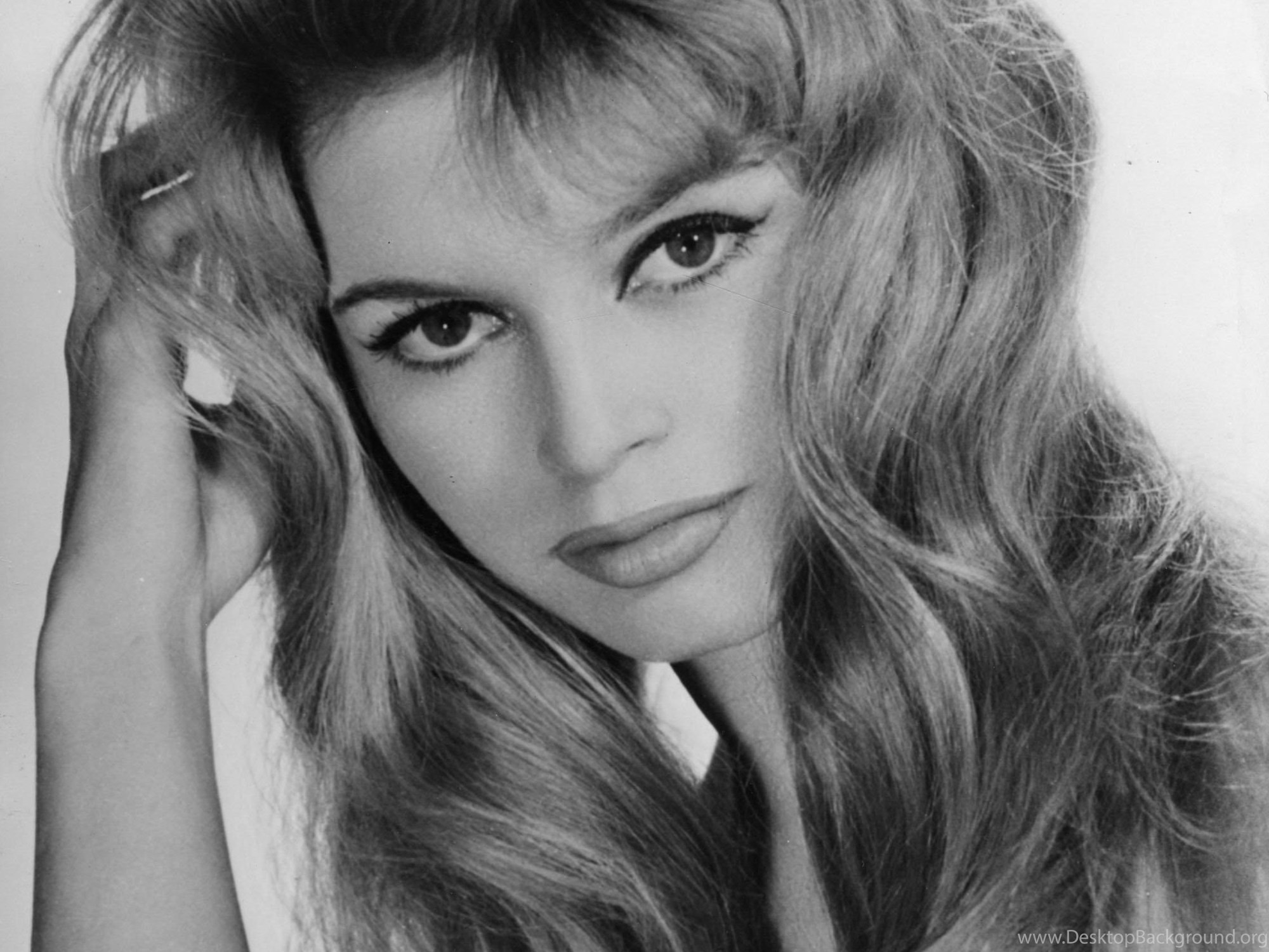 Download Brigitte Bardot Photo, Pics, Wallpapers Photo Fullscreen Standart ...