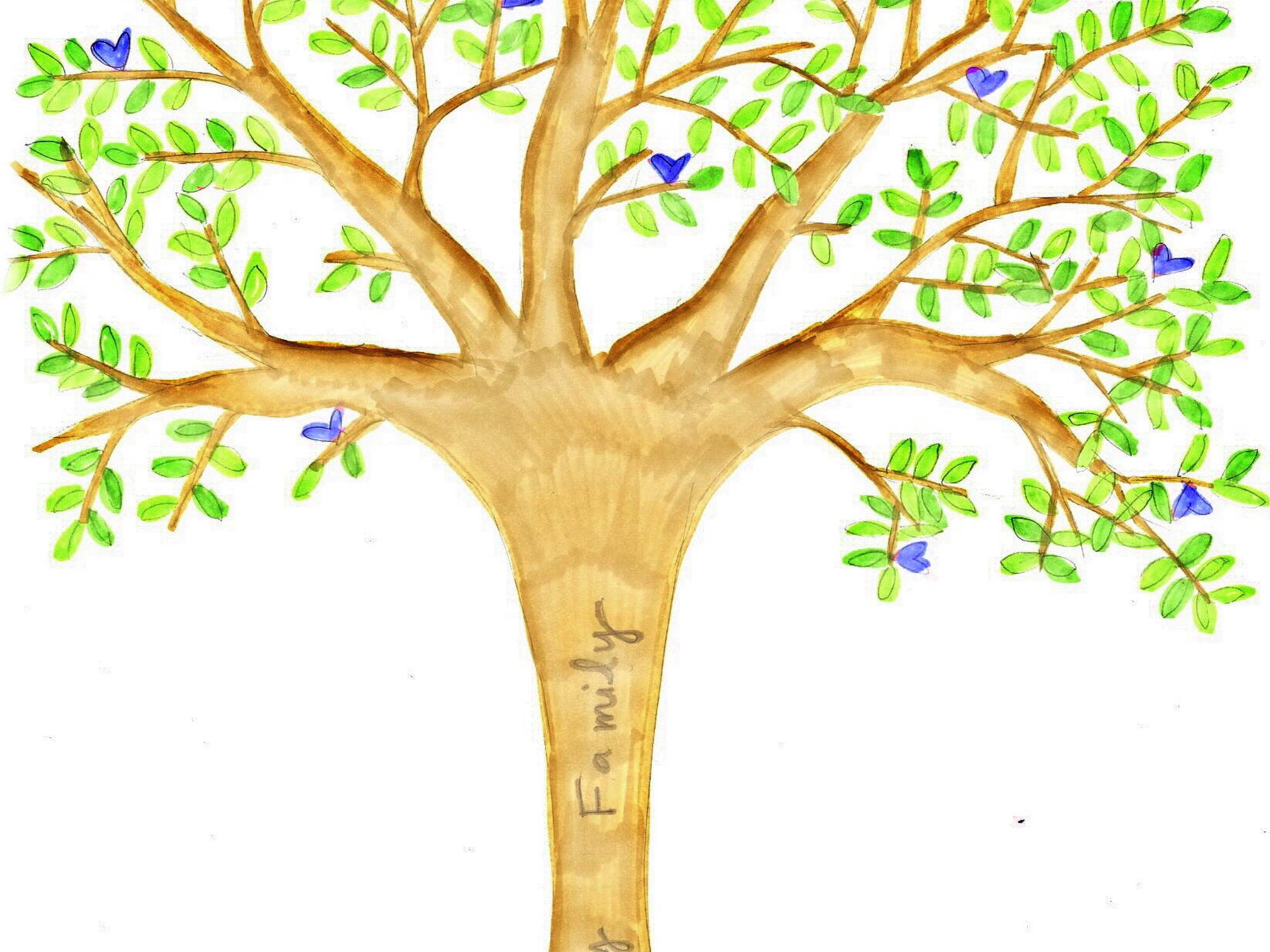 Древо для презентации. Дерево для семейного древа. Дерево рисунок. Фон дерева для генеалогического древа. Красивое дерево для родословной.