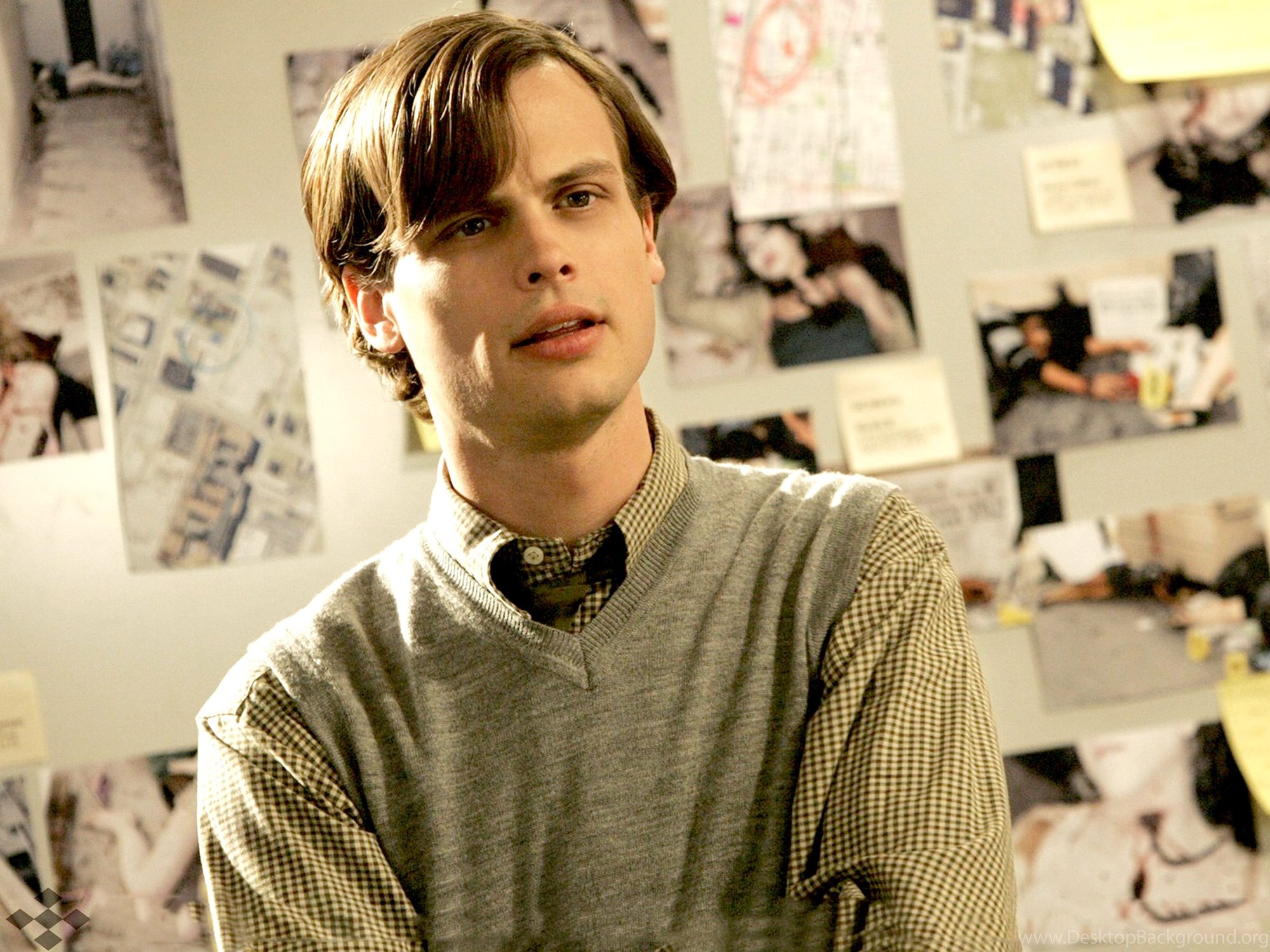 Download Matthew Gray Gubler HD Wallpapers HD Images New Fullscreen Standar...
