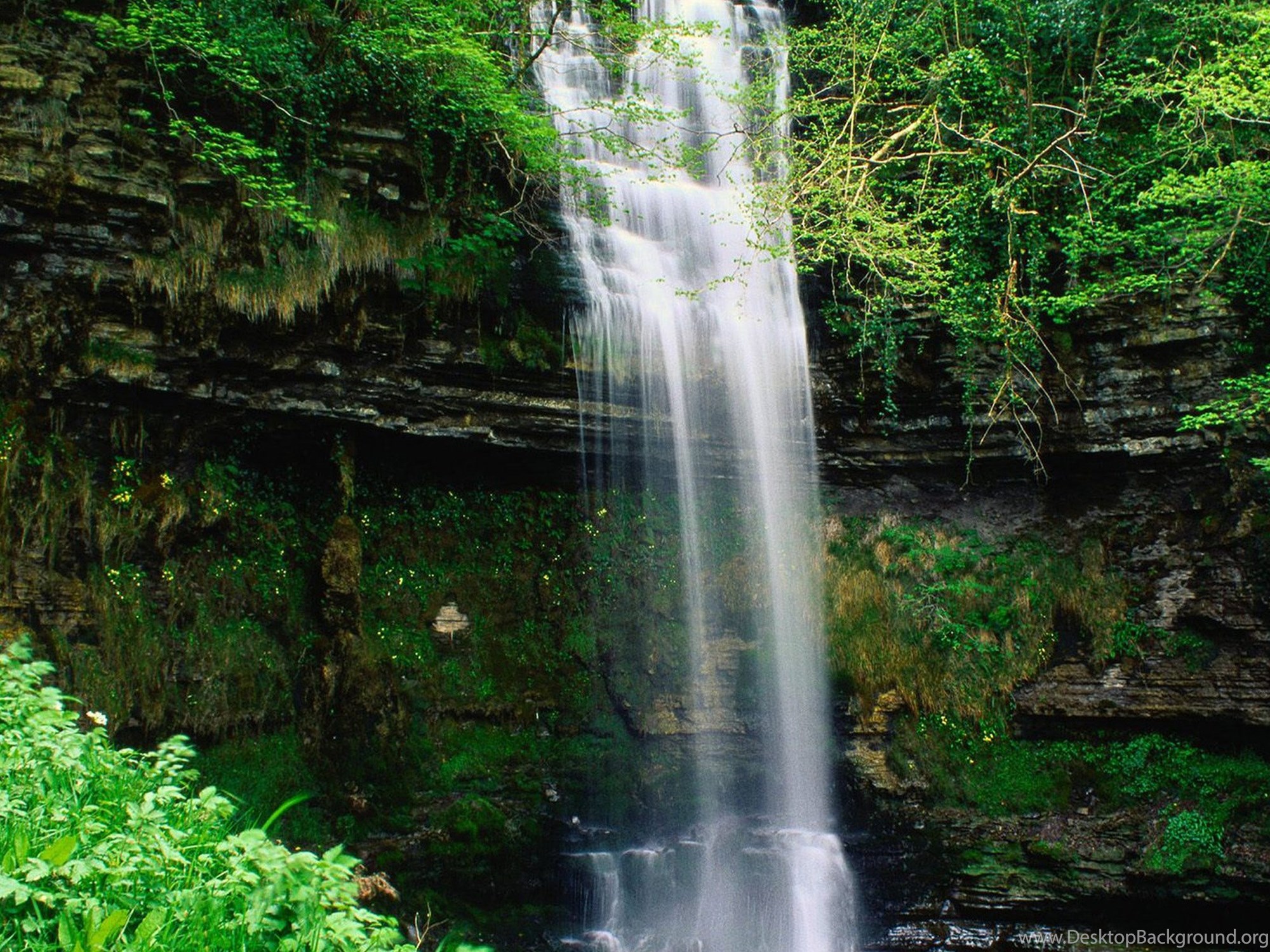 Экран водопад это. Дзыхринский водопад. Природа водопад. Живые водопады.