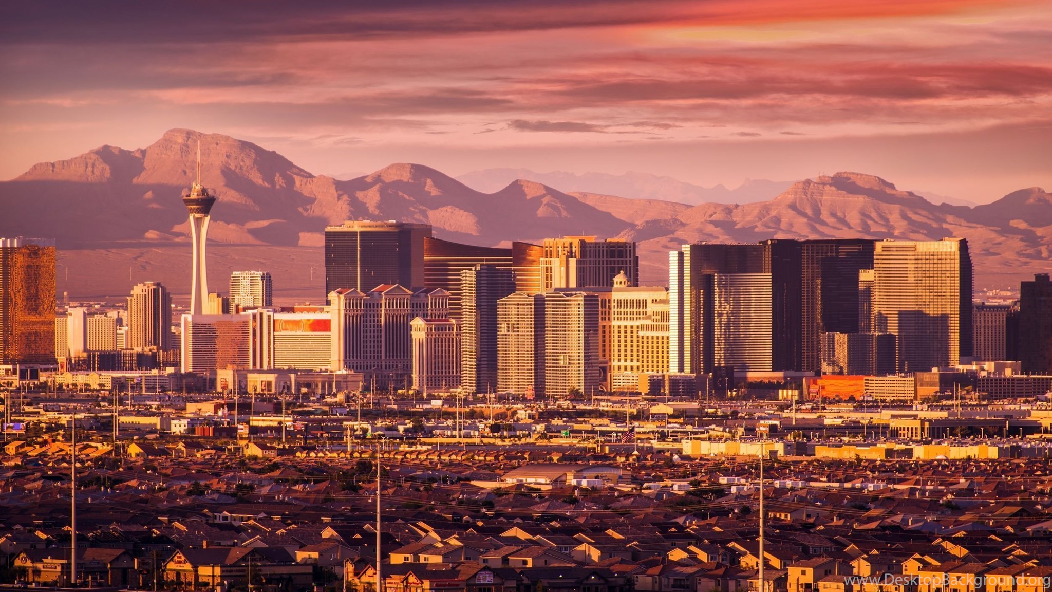 Download Las Vegas Wallpapers Latest Cool Desktop Background
