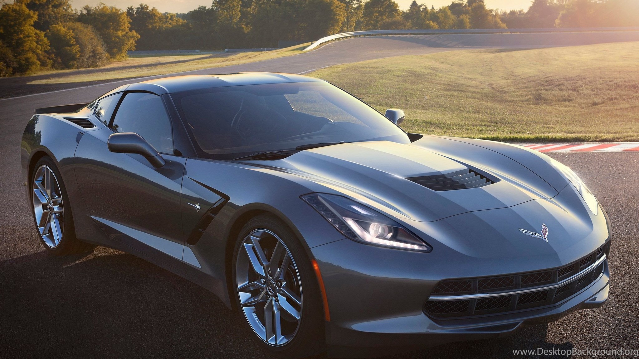 Corvette c7 значок