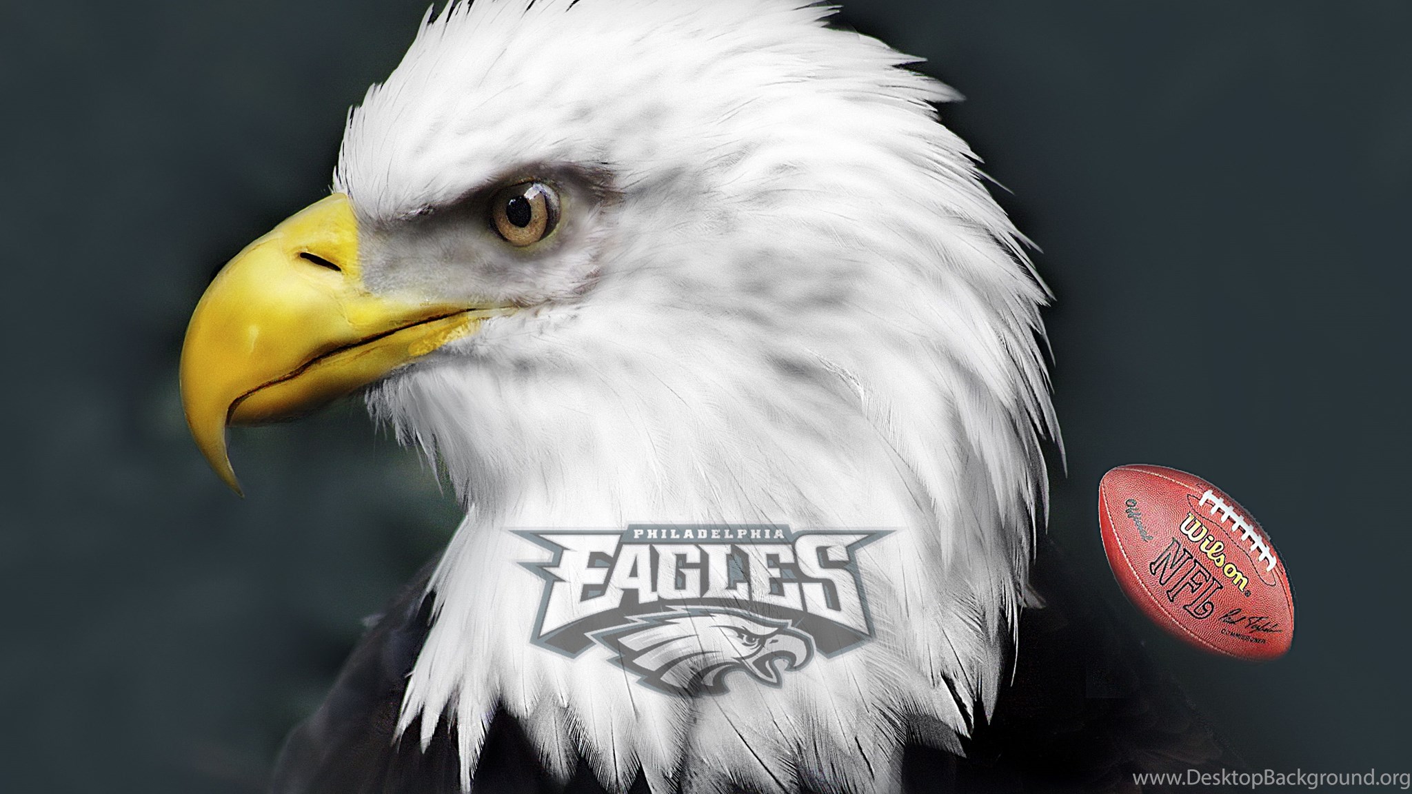 Eagles. Eagles 1972. Eagles группа 1973. Eagles фото. Eagles обложки альбомов