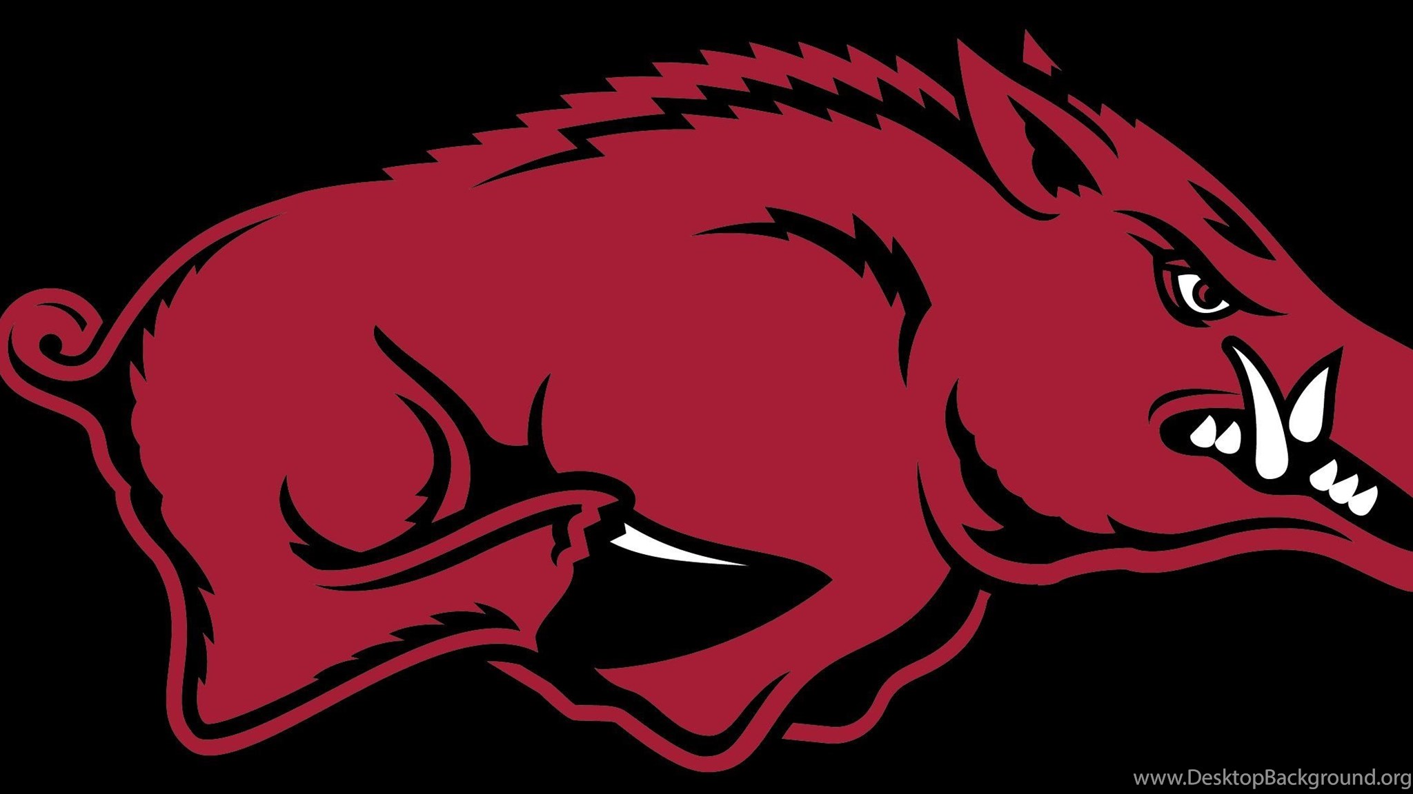 ARKANSAS RAZORBACKS College Football Wallpapers Desktop Background