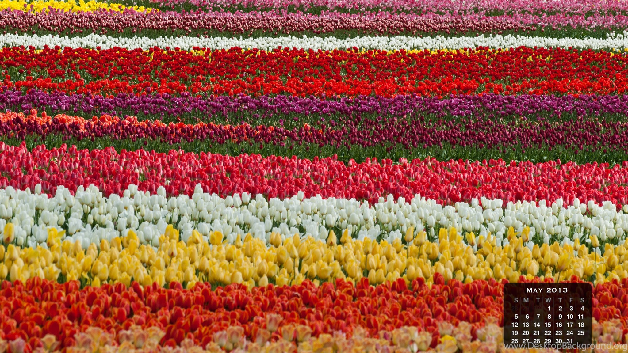Free Desktop Calendar Wallpapers For May Desktop Background