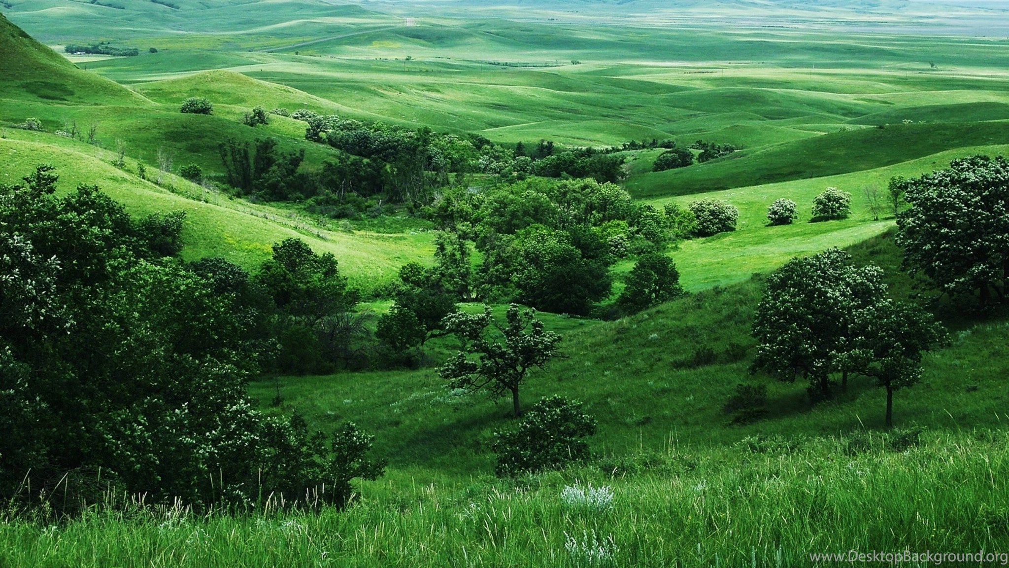 Природный ландшафт. Зеленые холмы Англии. Зеленые холмы Краснодарский край. Зеленые холмы Шропшира. Холмы Молдовы.